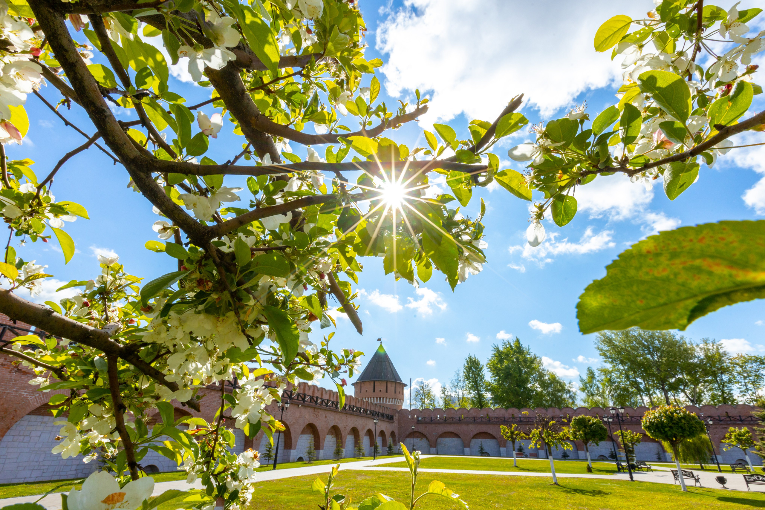 Весеннее цветение в Туле. Фотограф в Туле Крупский АнДРей. Фотостудия «КАДР71» в Туле