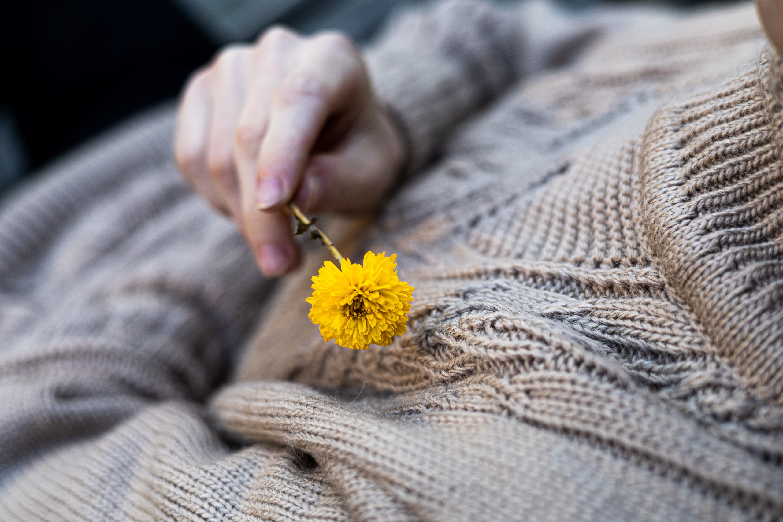 Чай из одуванчиков. Фотограф во Владивостоке Татьяна Самойленко