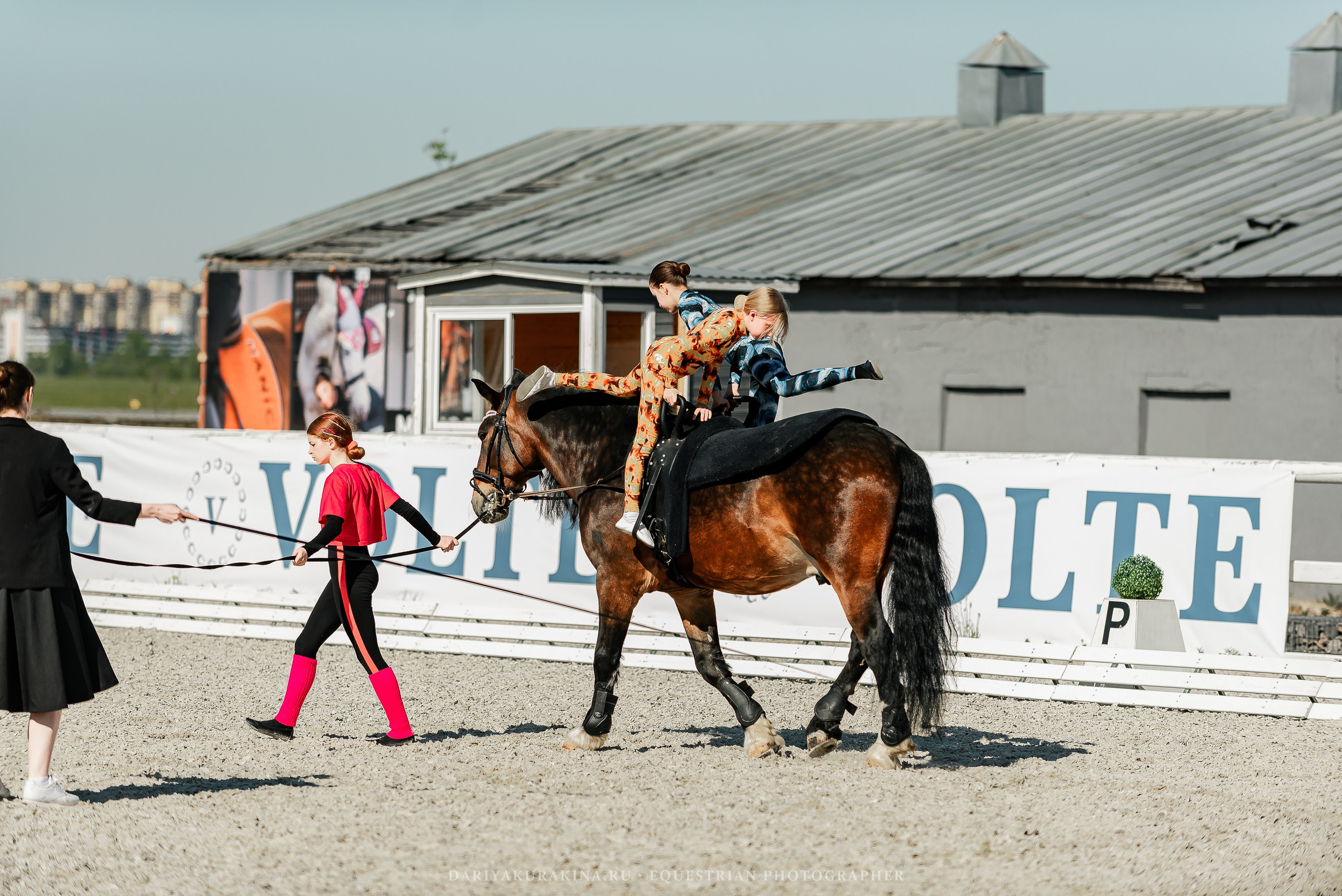 РЕПОРТАЖ МКК ВОЛЬТ «LA TULIPS». Конный фотограф Куракина Дарья • Фотосессии с лошадьми