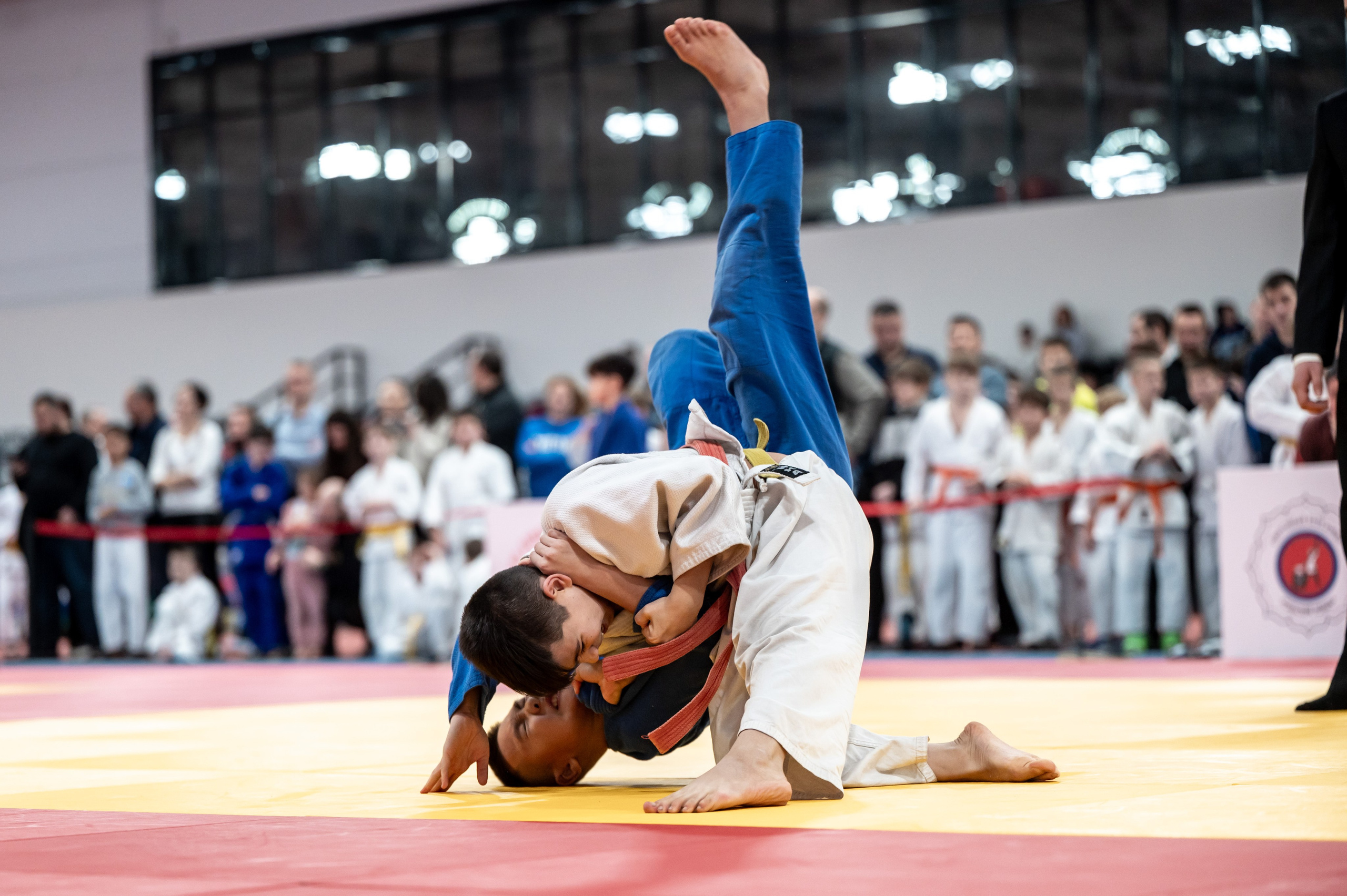 Новогодний турнир по дзюдо. Январь 2024. Спортивный фотограф в Туле и Тульской области. Файсханова Фото Спорт