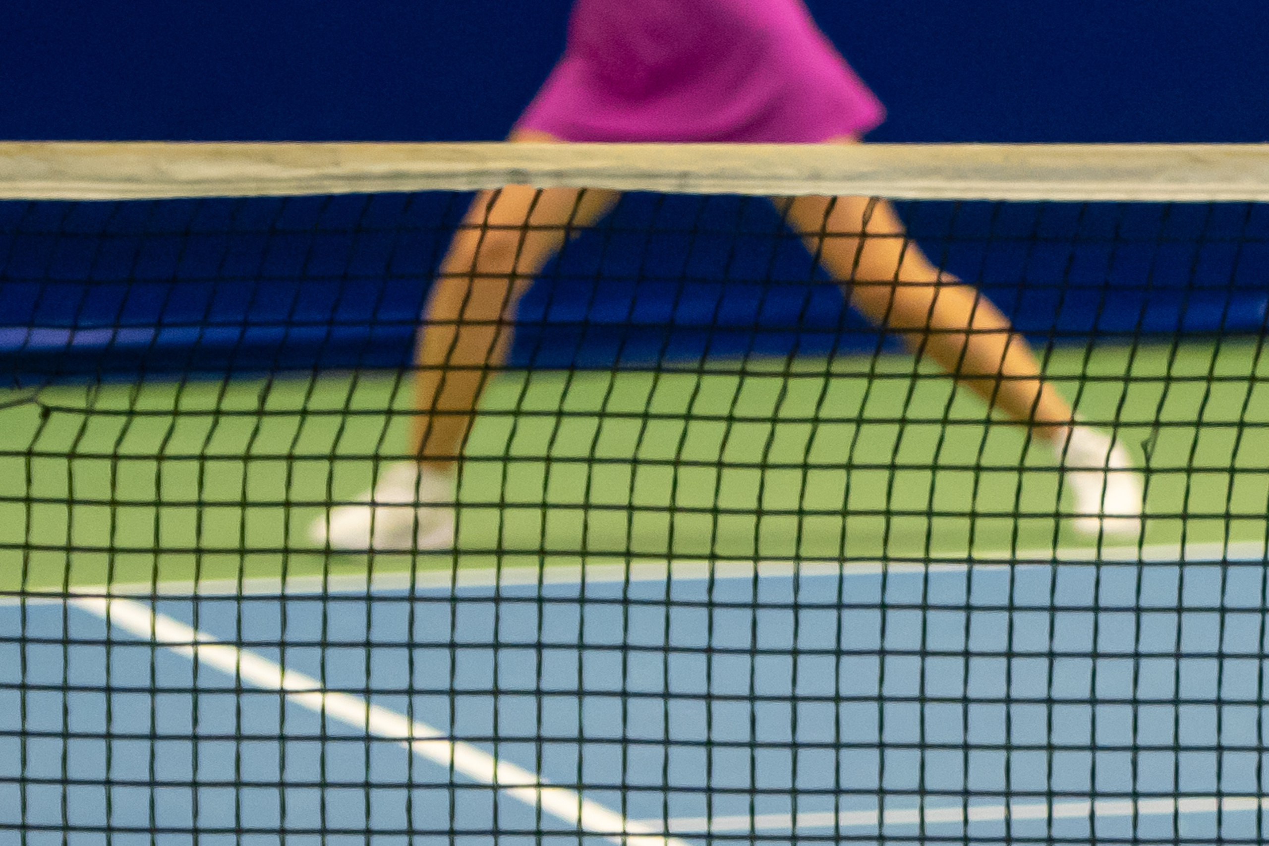 Dimitri Bakhtadze, colour photos. Dimitri Bakhtadze photographer