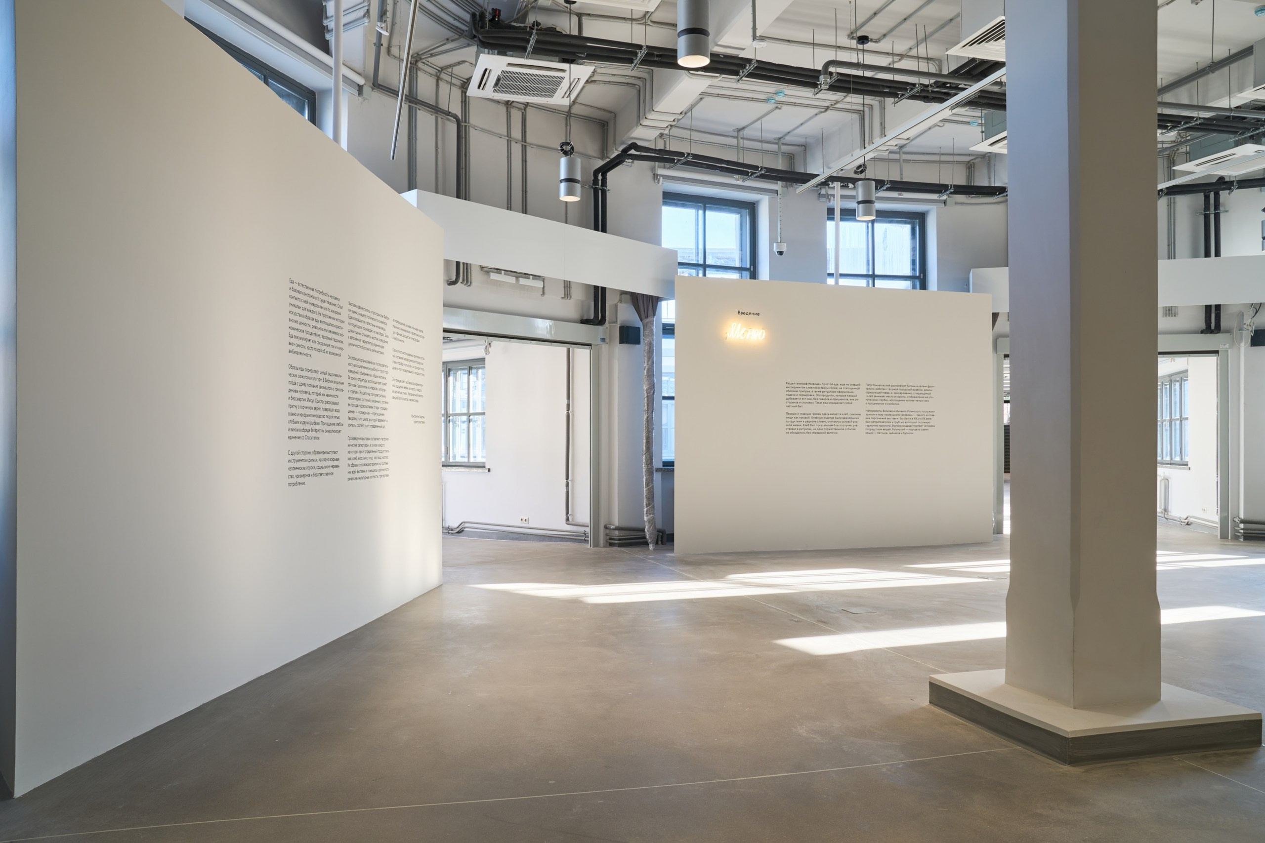 Открытие филиала Третьяковской Галереи. Фотограф Евгений Шаров