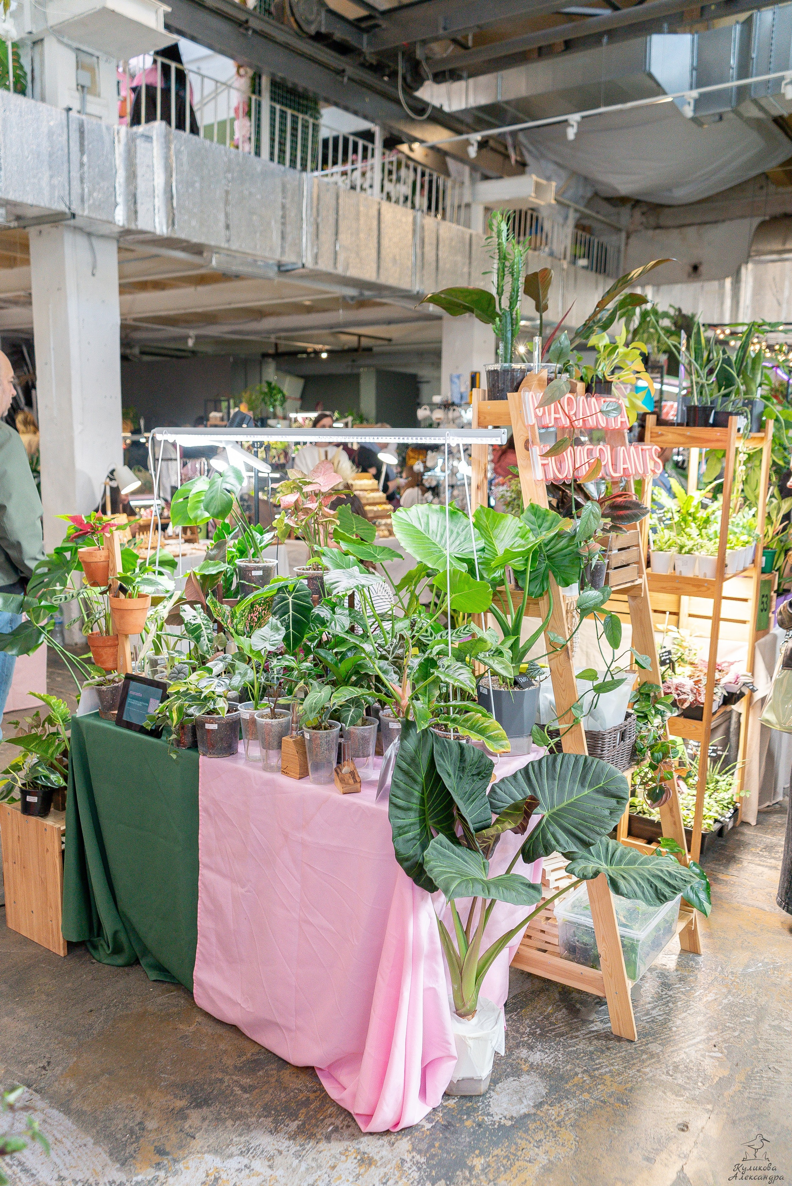 Гроубокс Артплей апрель. Александра Куликова фотограф, Москва