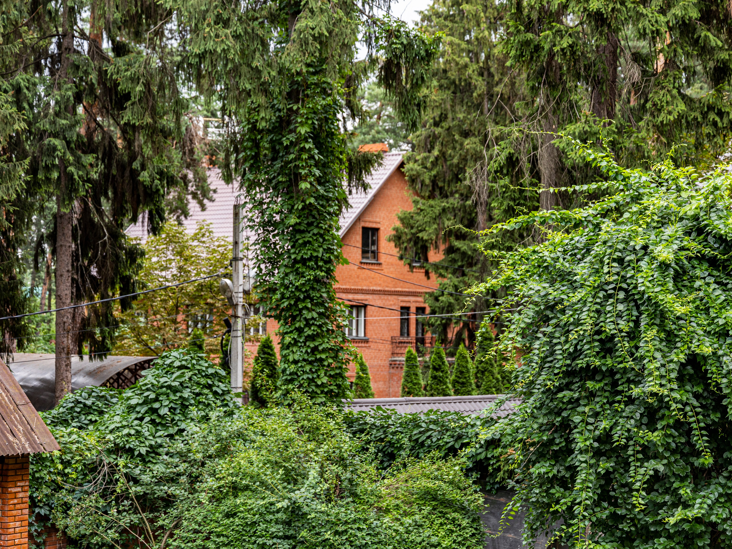 Фотограф Татьяна Марсуверских г. Жуковский, Москва и Мо. Репортажные съёмки, фотосессии. Детский, семейный фотограф. Фотограф для маркетплейсов, фотоуслуги в Жуковском Татьяна Марсуверских