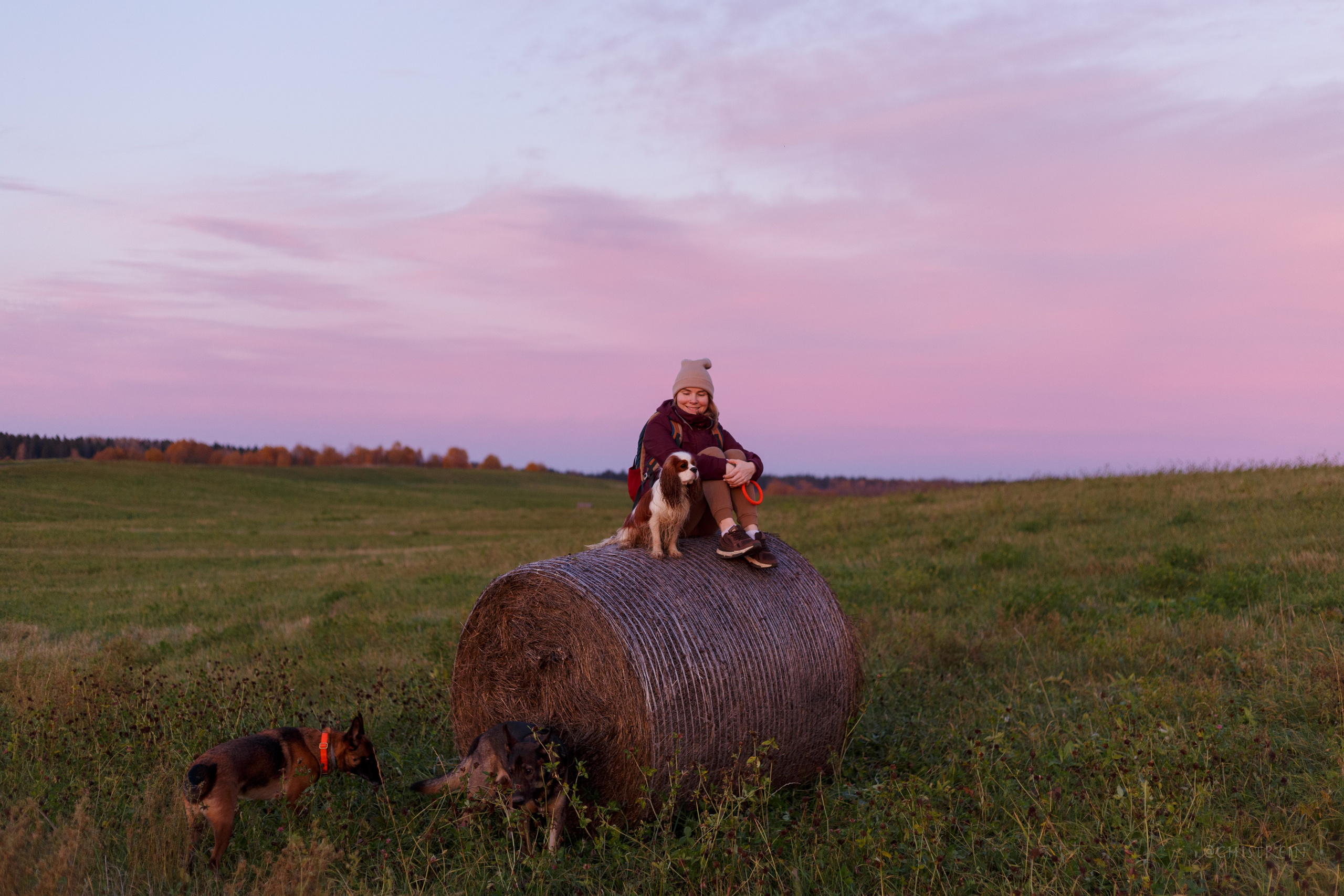 Октябрьский закат в полях. Алина и Лео. Фотограф-анималист Наталия Чистюхина в г. Сосновый Бор и ЛО