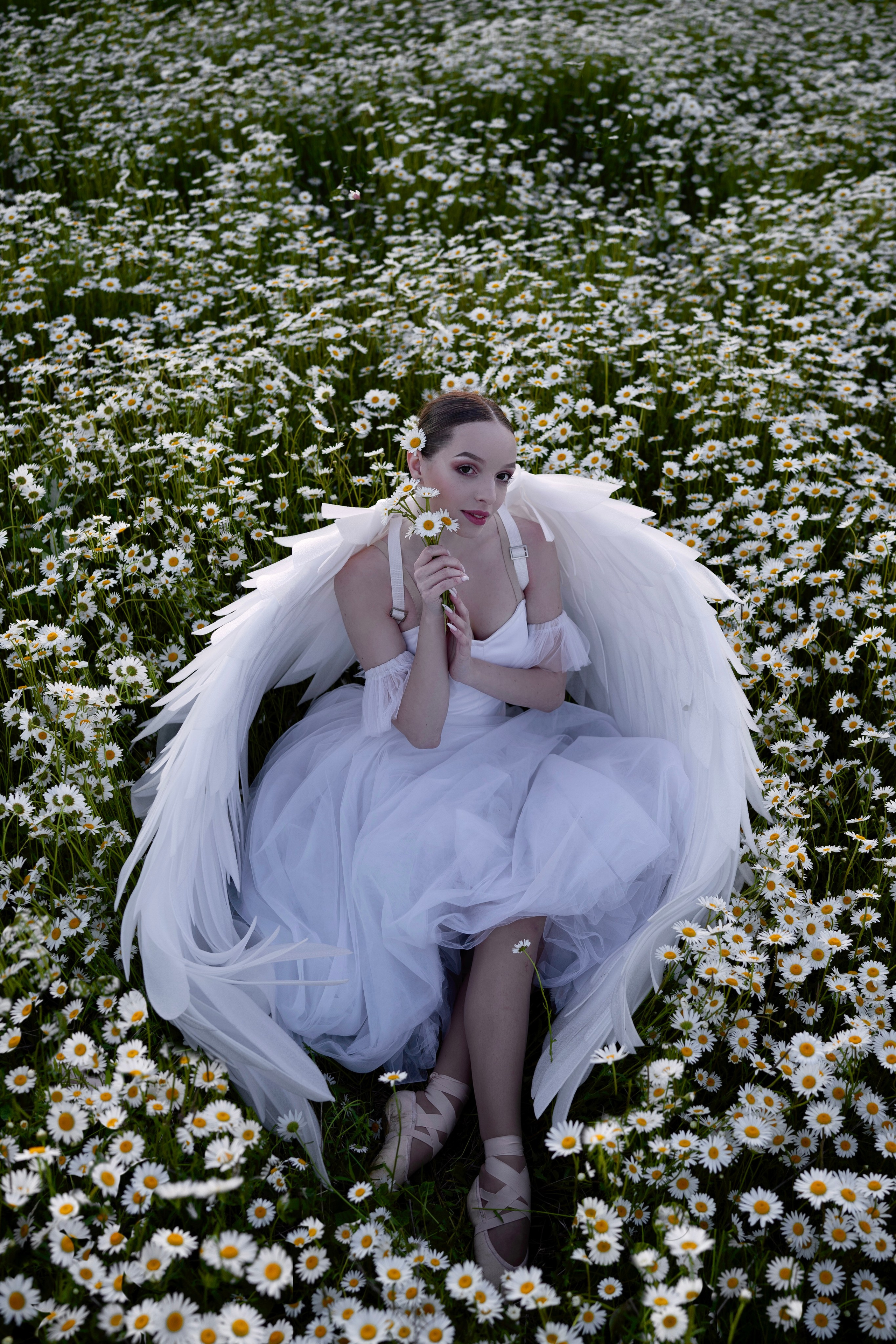 Ромашки. Фотограф в Крыму Лебедева Александра