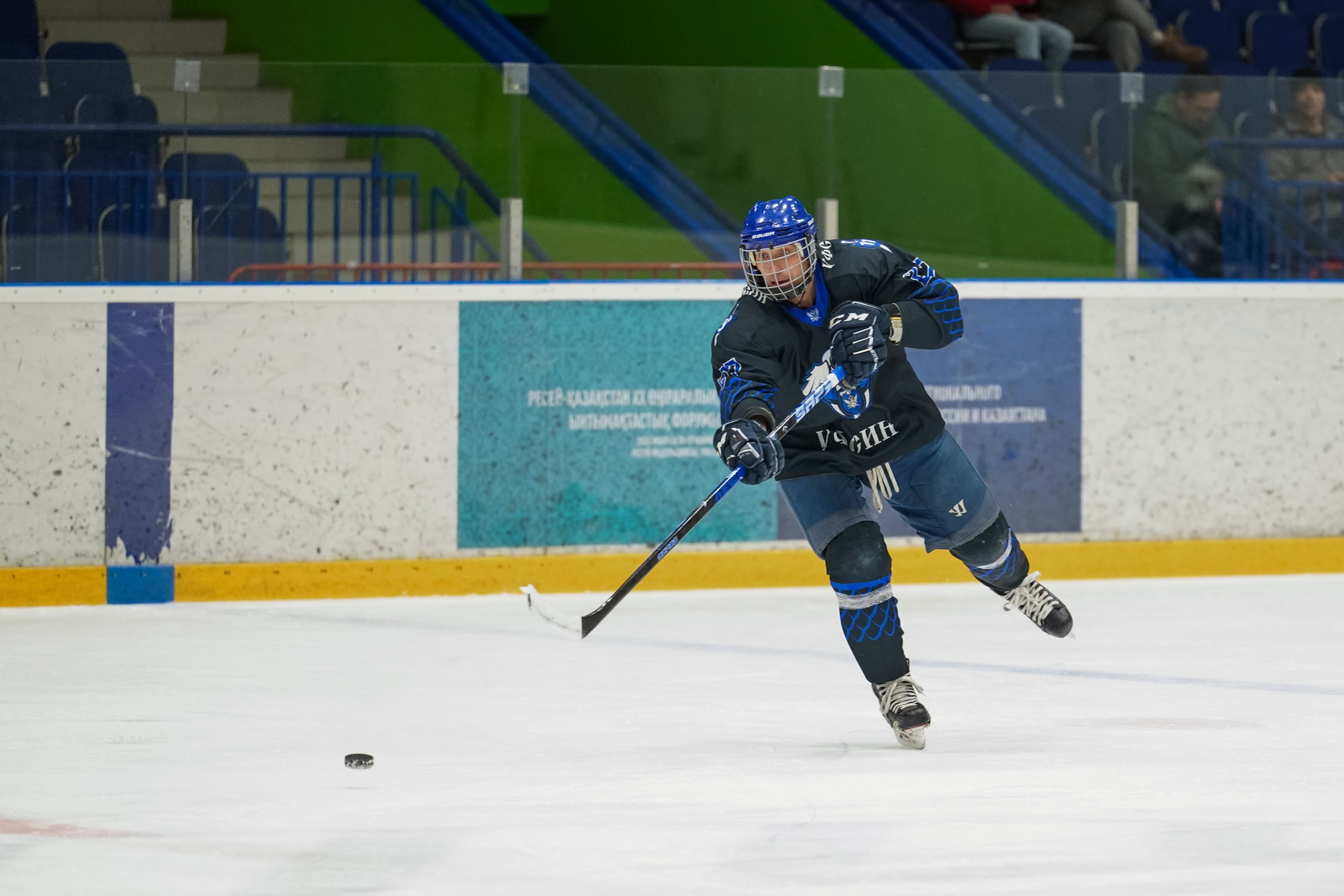 Башкирская хоккейная лига. Маслухин Дмитрий — Ваш Фотограф