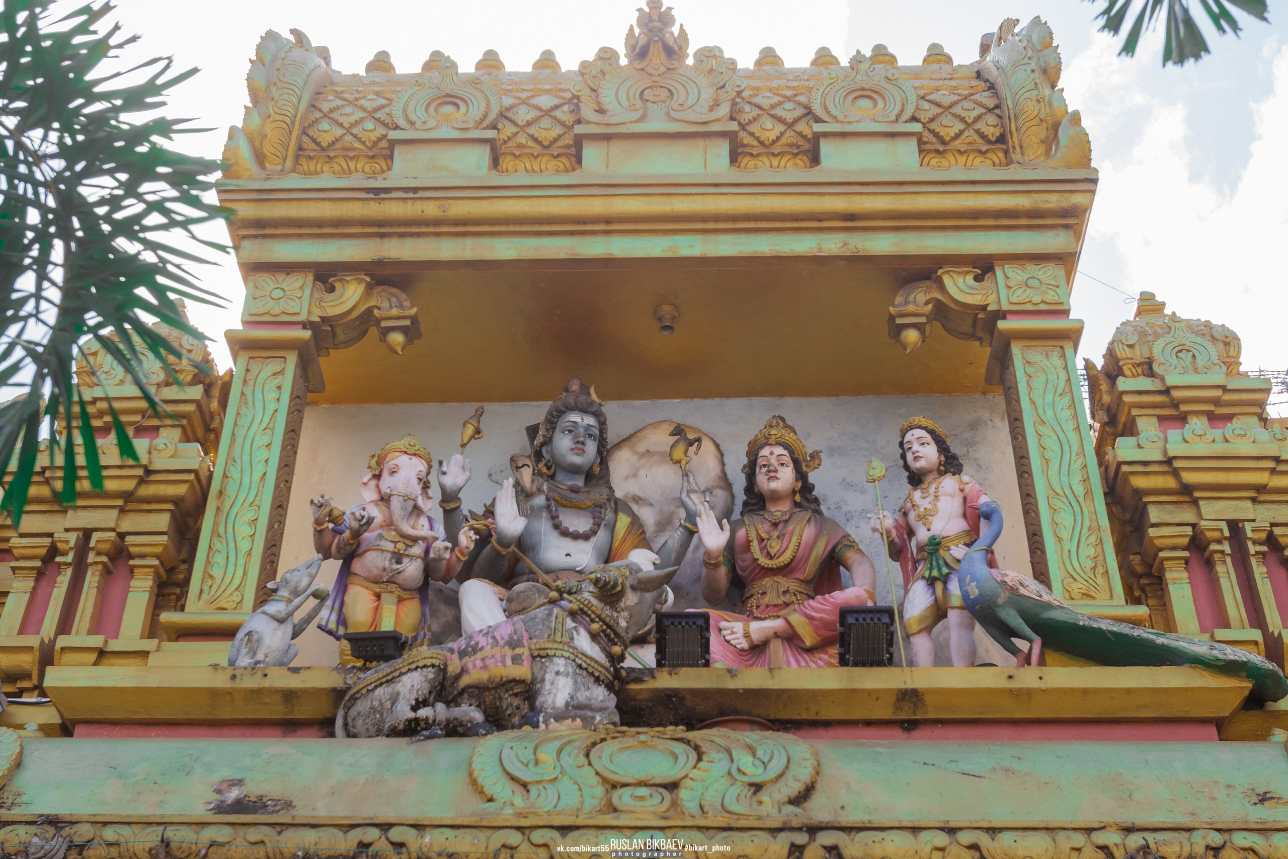 ШРИ-ЛАНКА 2025 / SRI LANKA 2025. Главная