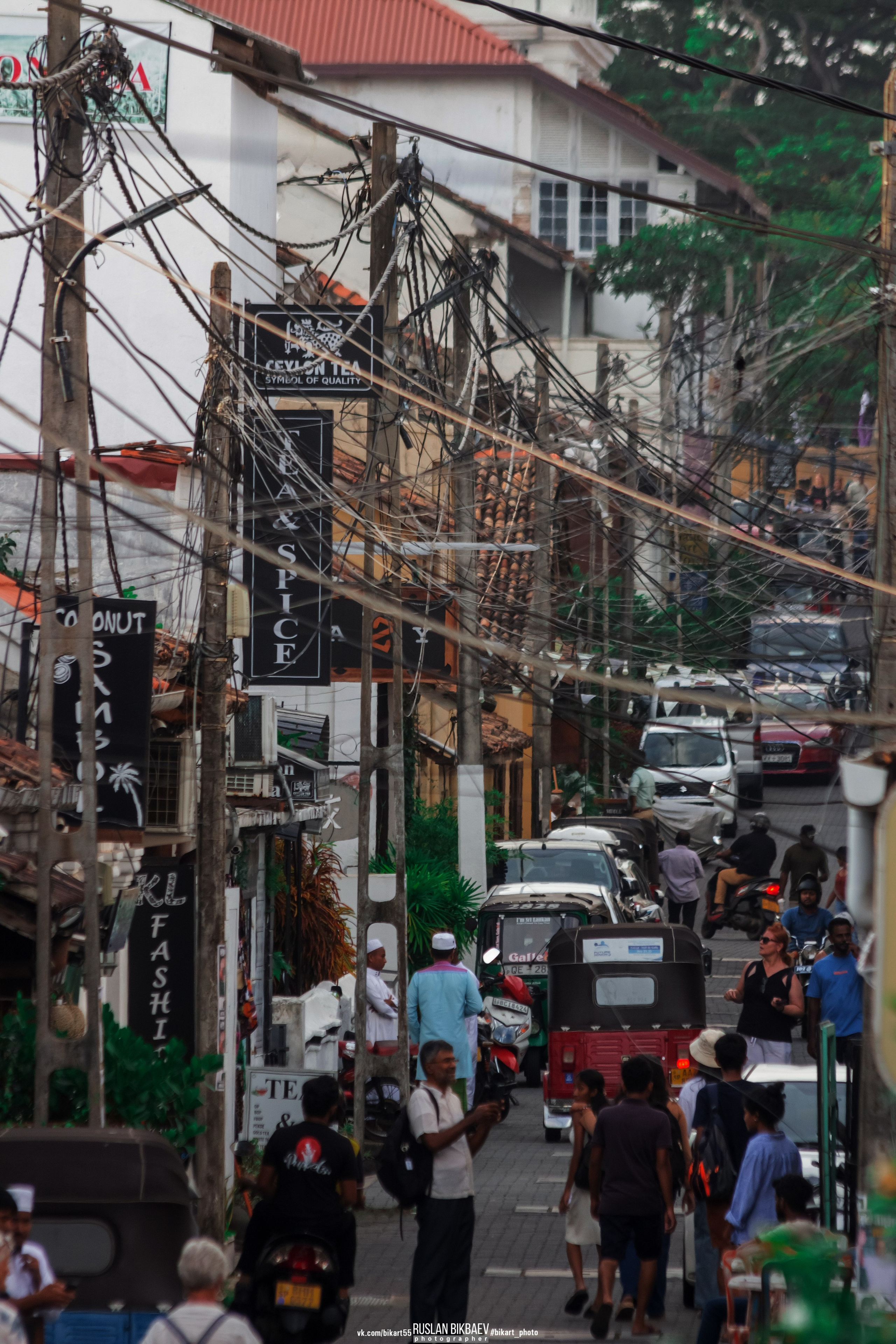 ШРИ-ЛАНКА 2025 / SRI LANKA 2025. Главная