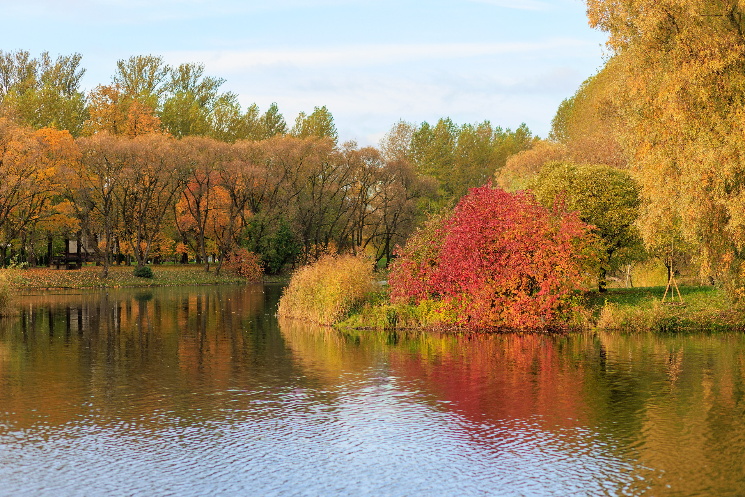 ПРОГУЛКИ. 2323.рф, 2323