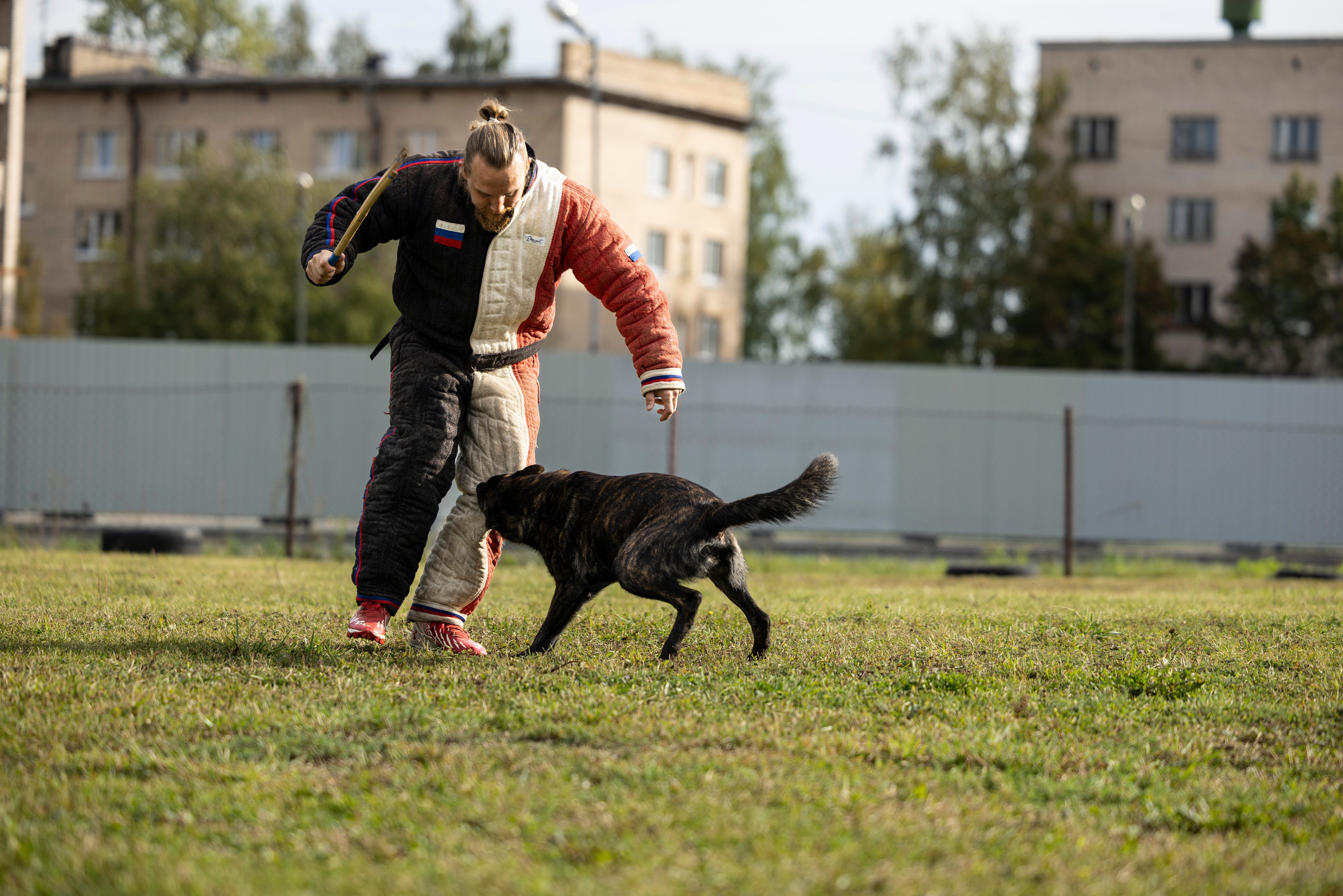 Испытания по Мондьорингу г. Пушкин. Фотограф-анималист Анна Маринич