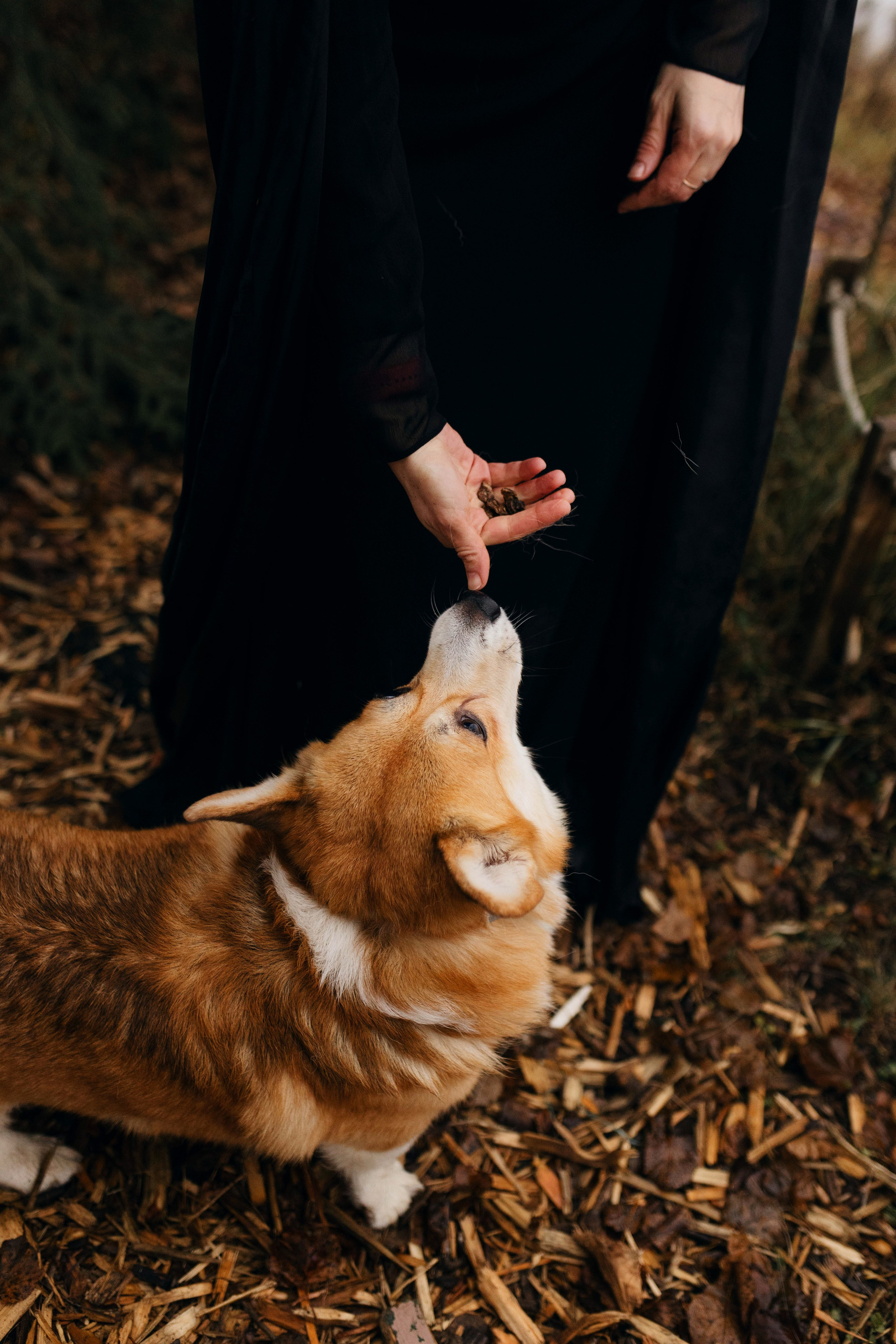 Dog camp / Аня и Бенджи. Фотограф Кузина Вера