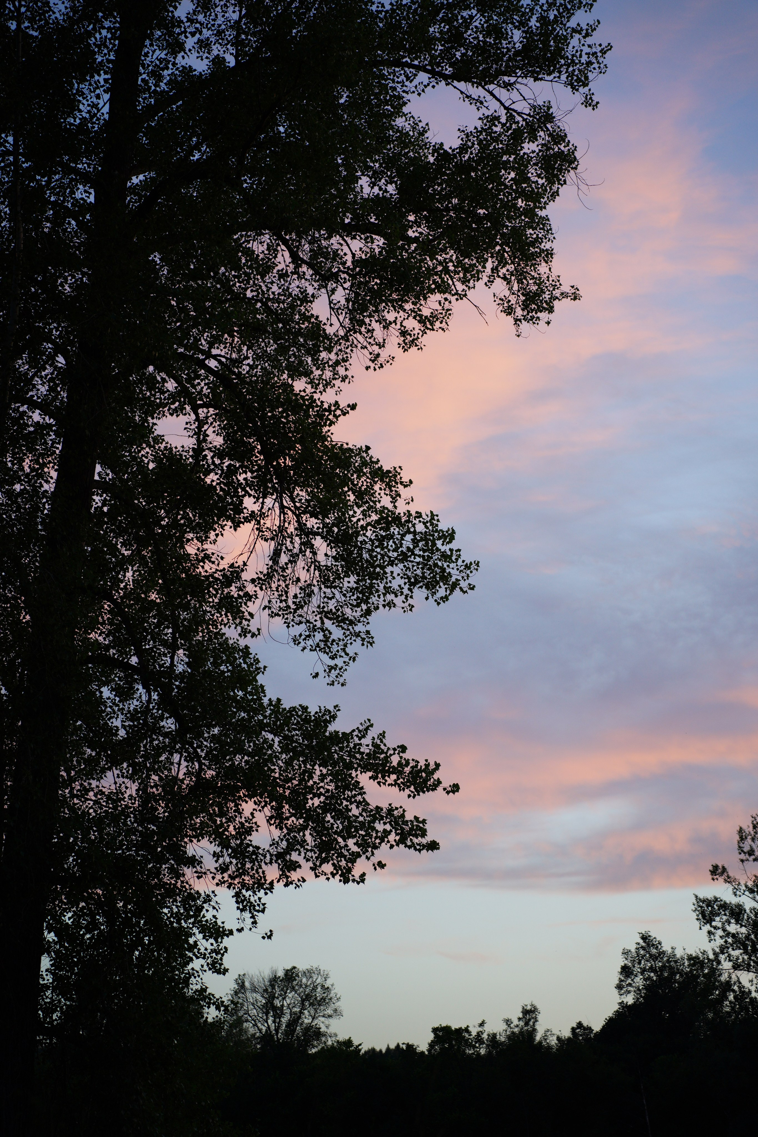 3-ех дневный сплав по «Уфимке». Pupov.png