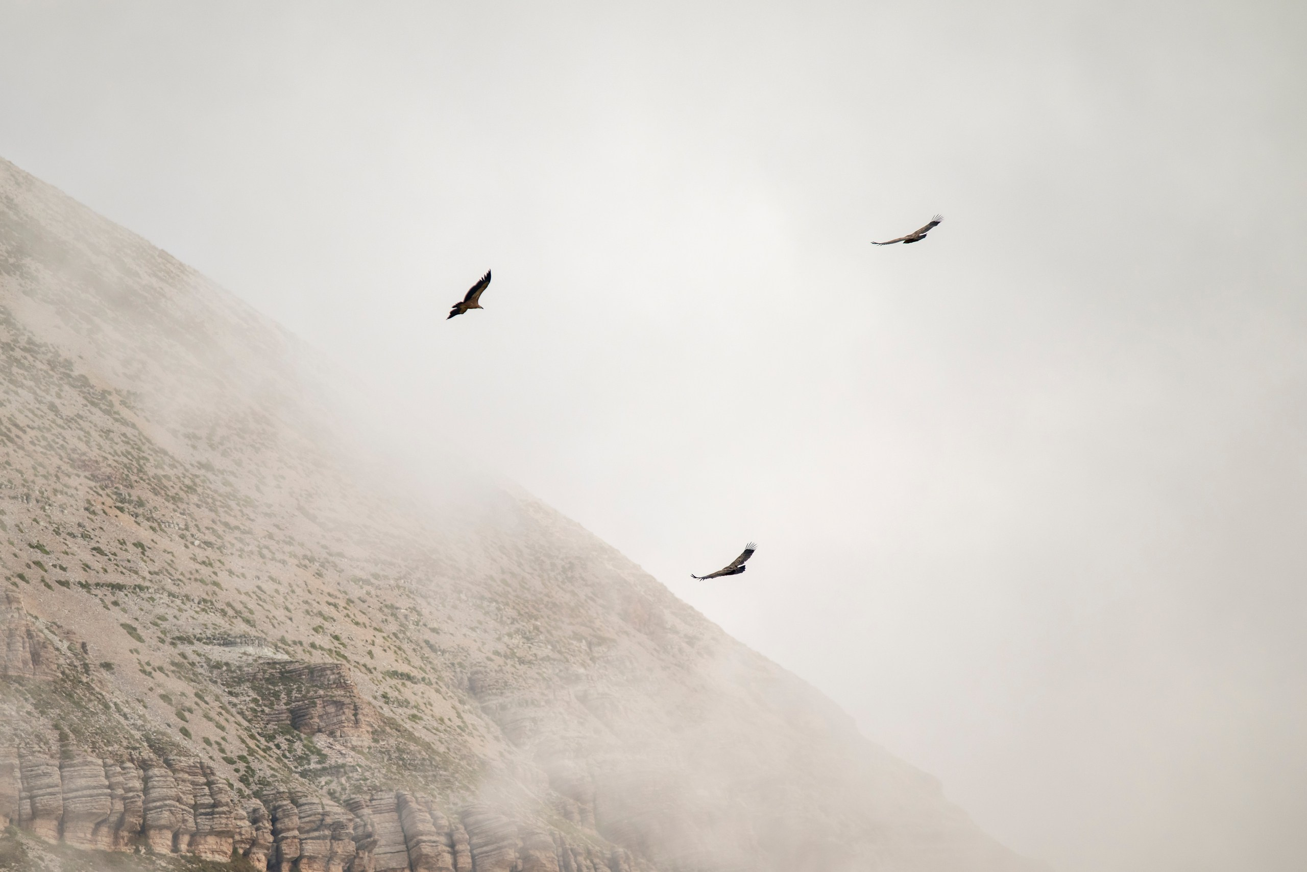 Природа Дагестана, сентябрь 2024. Foto-Zuev фотография как искусство