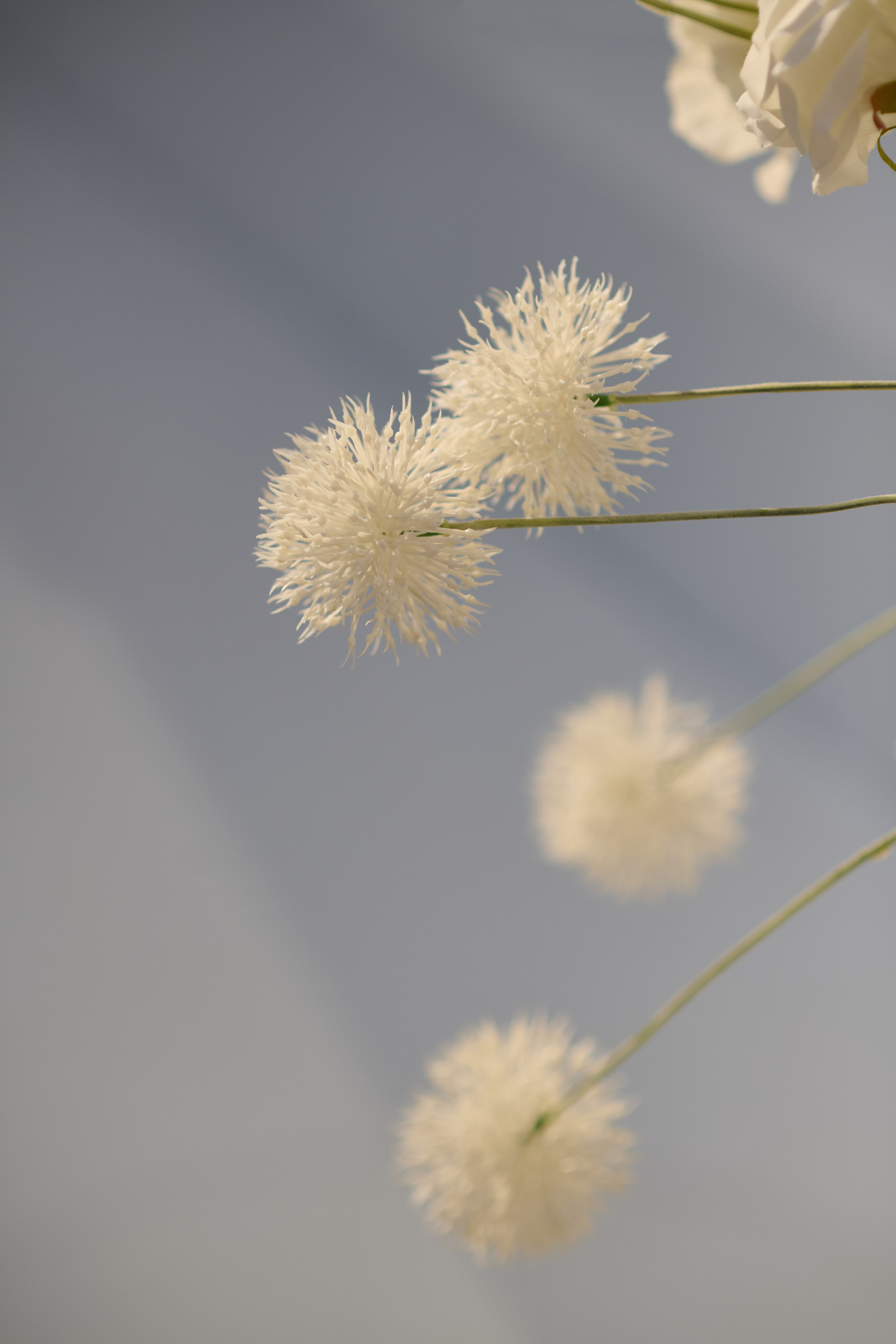 Ильнар и Лиза — 4Elements. Свадебный фотограф Екатеринбург/Челябинск — Любовь Волохова