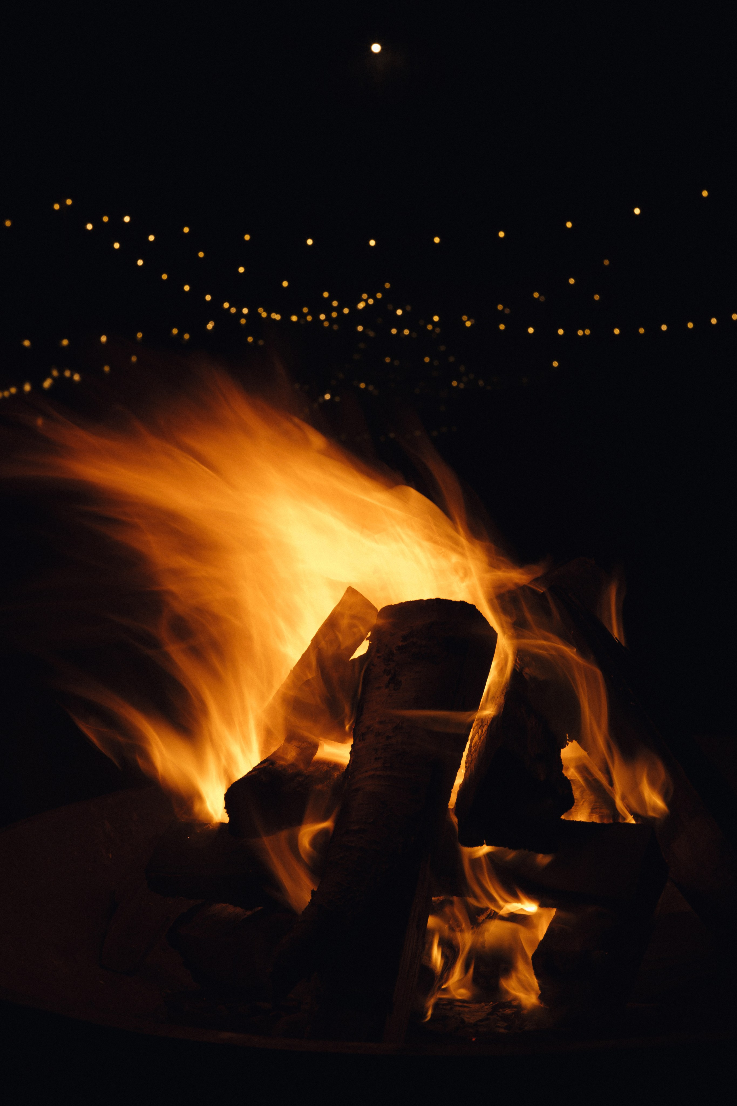 PINE RIVER. Свадебный фотограф Павел Князев