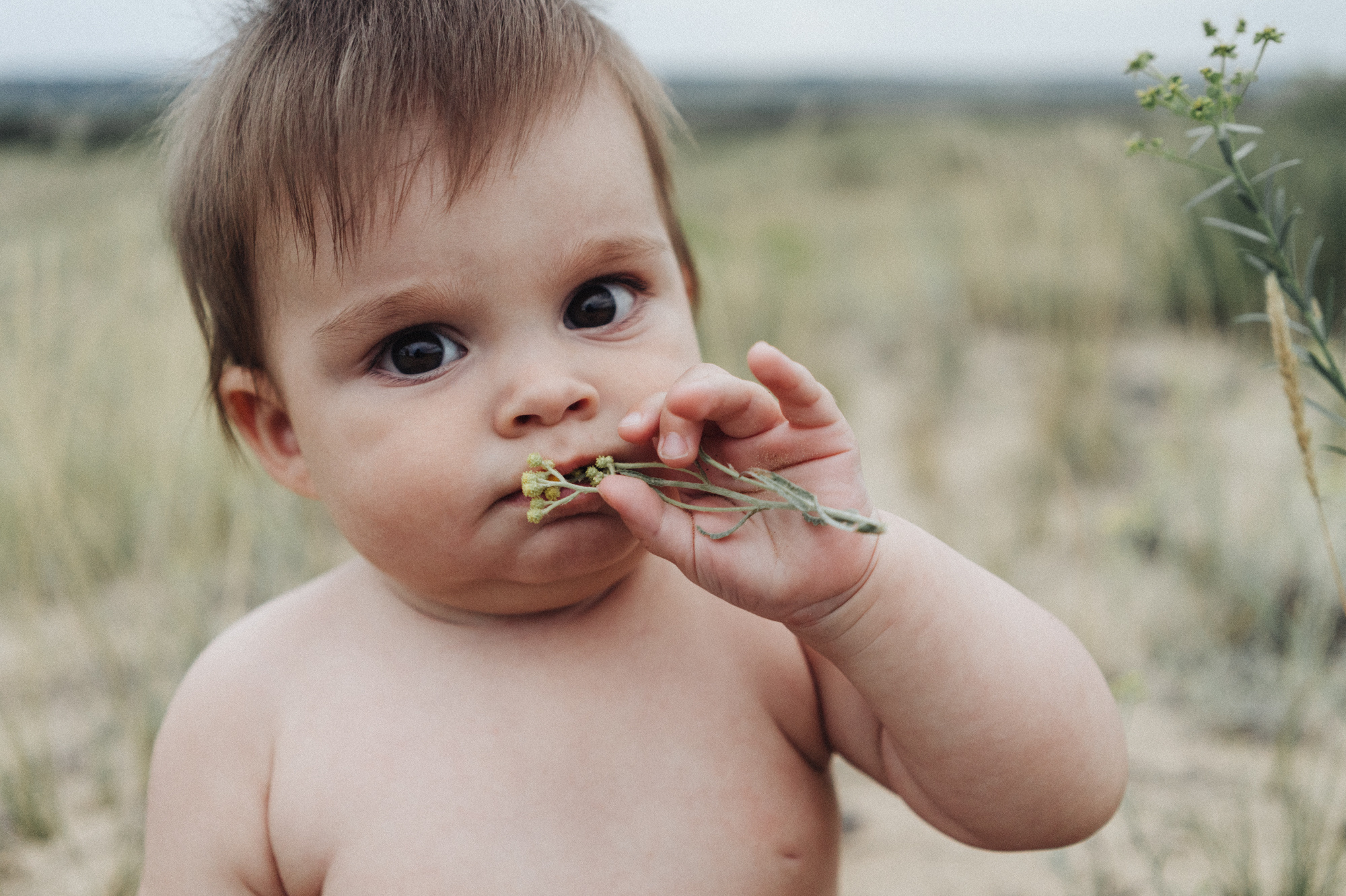 Надя и Костя. Семейный и детский фотограф в Волгограде и Сочи Наталия Пирметова