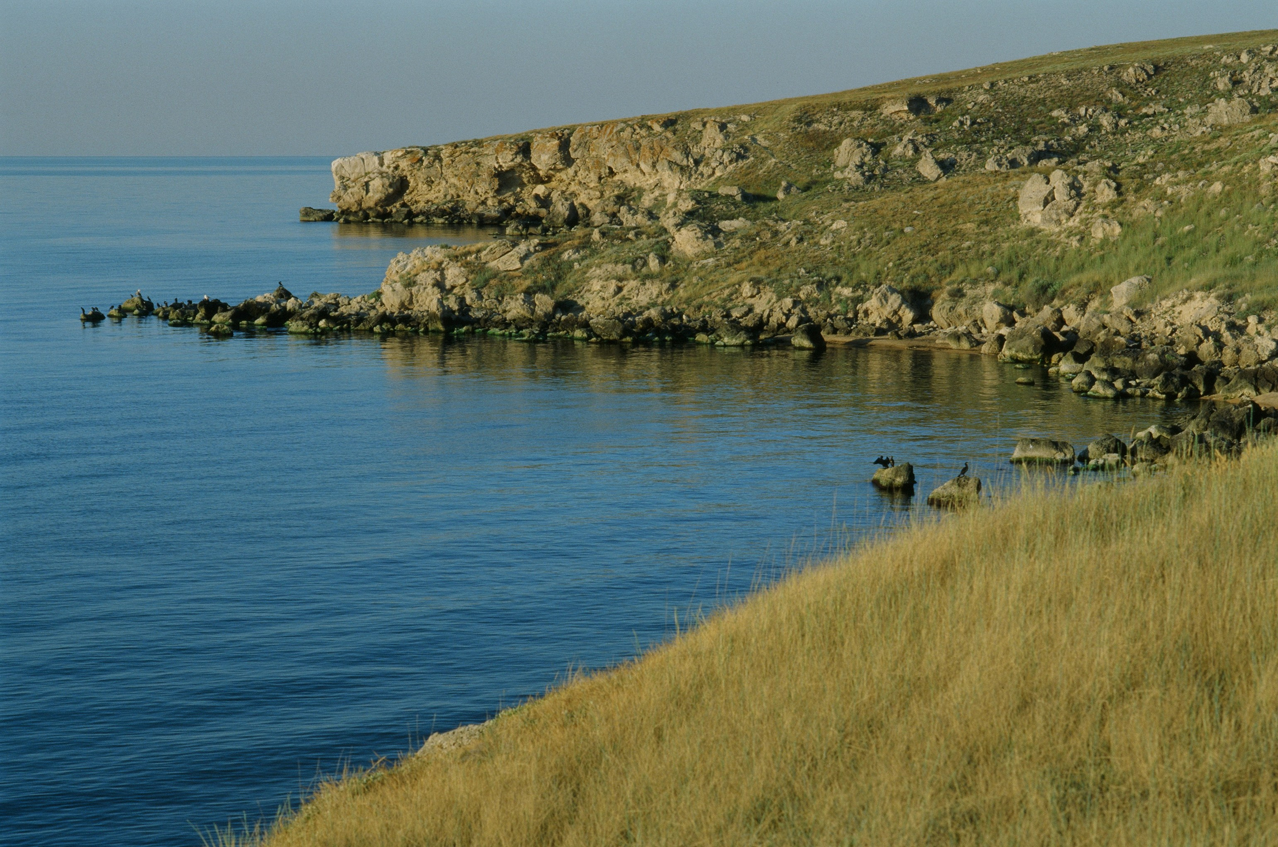 Dig it // ukraine, crimea VII. EVER EXPOSED