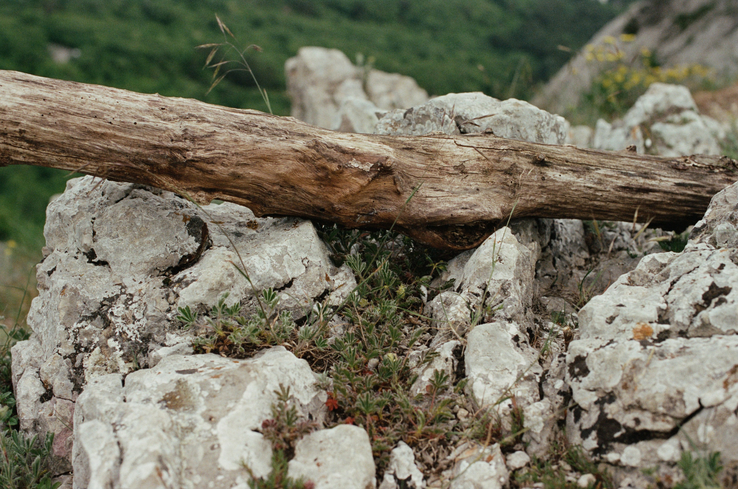 Silent running // ukraine, crimea. EVER EXPOSED