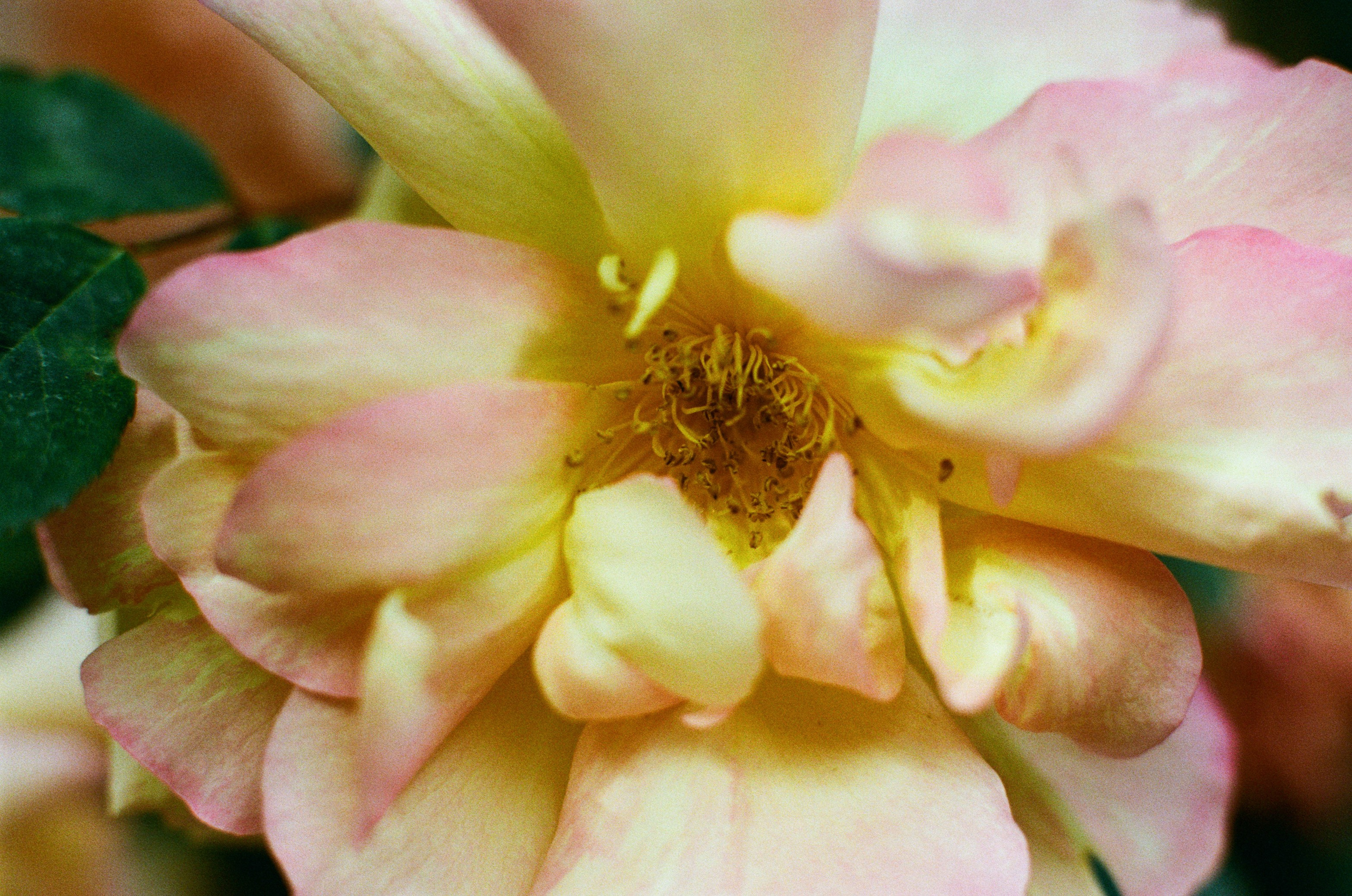 Point of no reply // ukraine, crimea VI. EVER EXPOSED