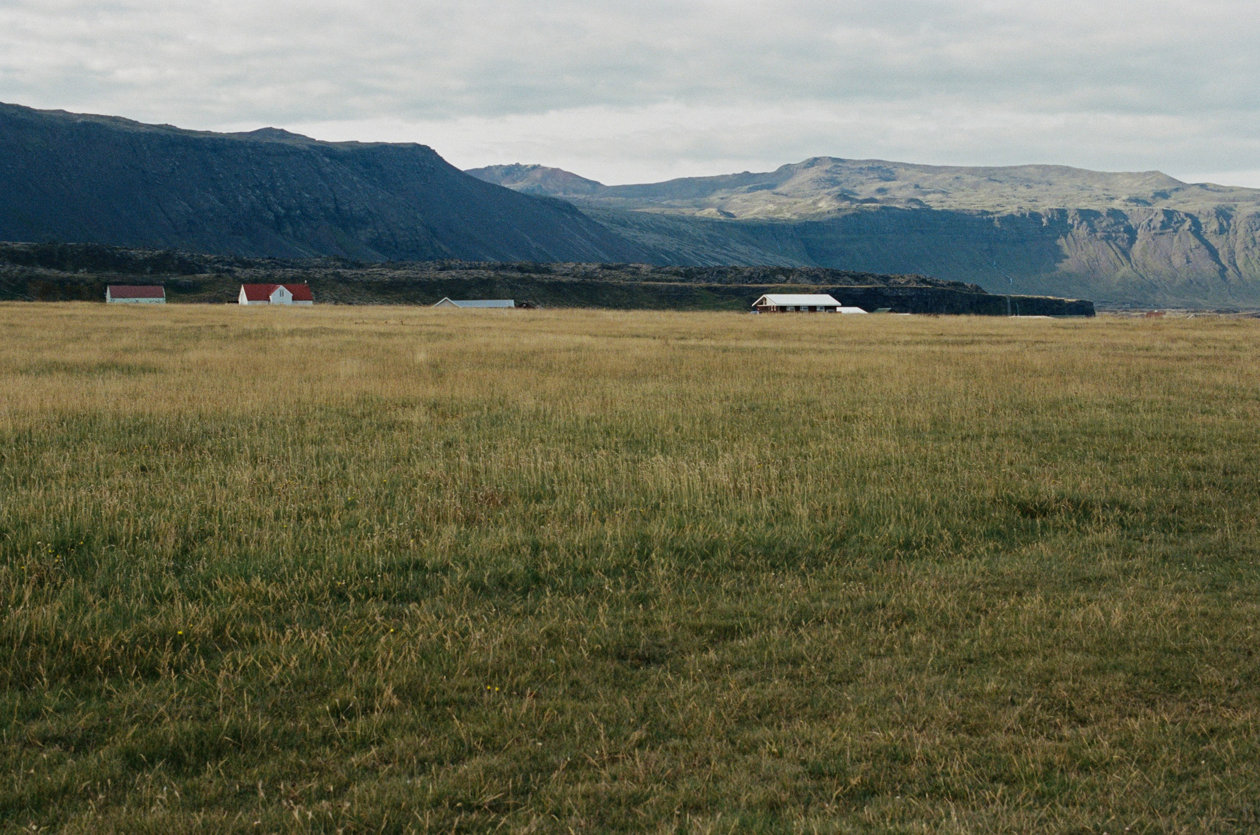 Vor i vaglaskogi // iceland, 574 utnesvegur. EVER EXPOSED