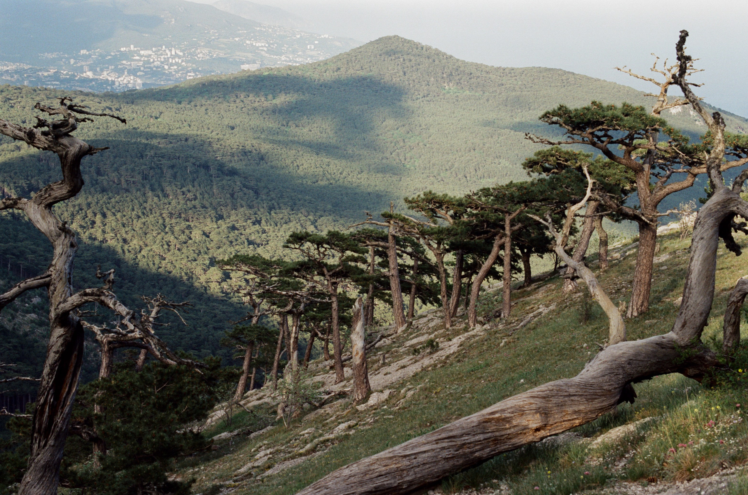 Silver strings // ukraine, crimea VIII. EVER EXPOSED