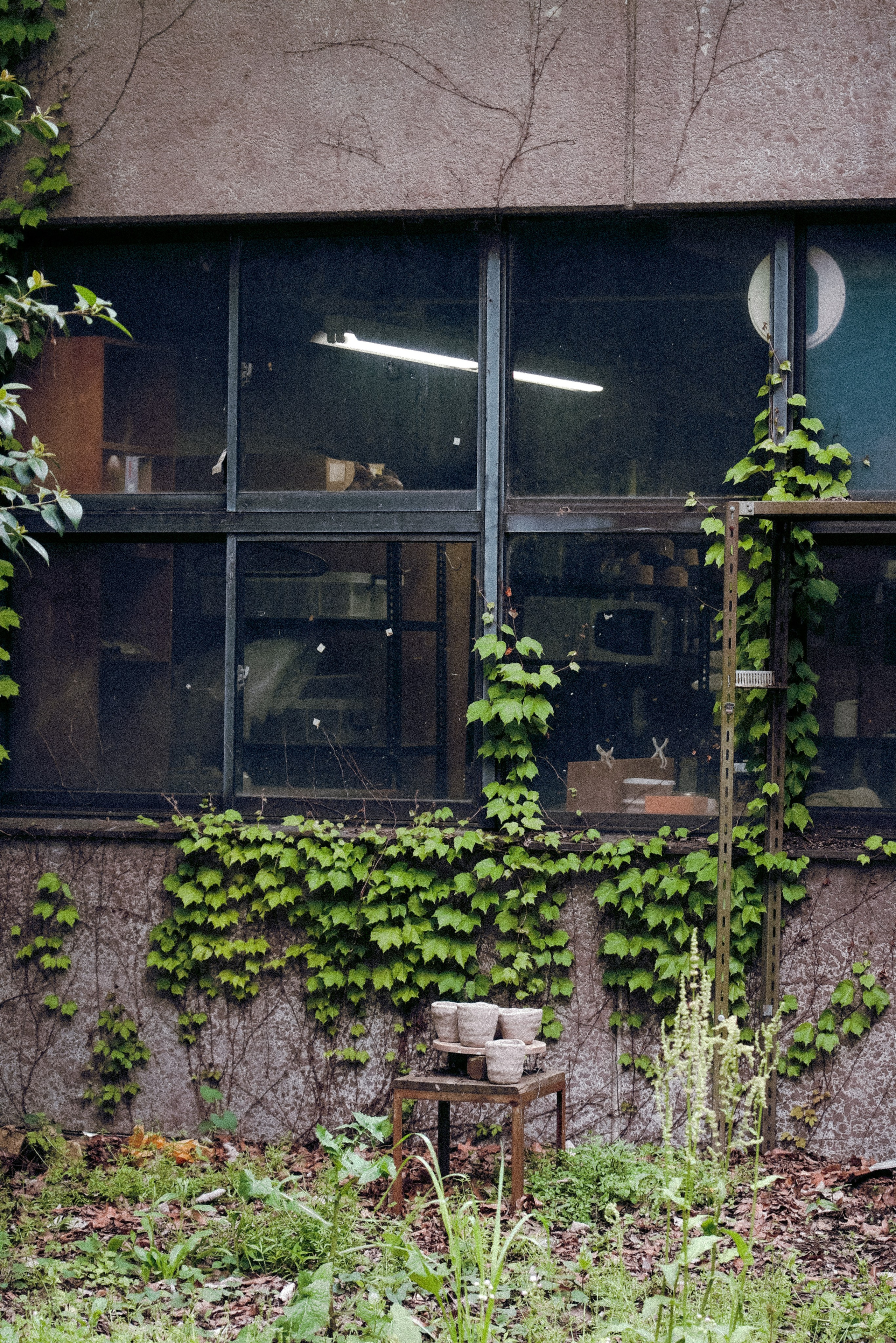 日本. Фотограф Москва