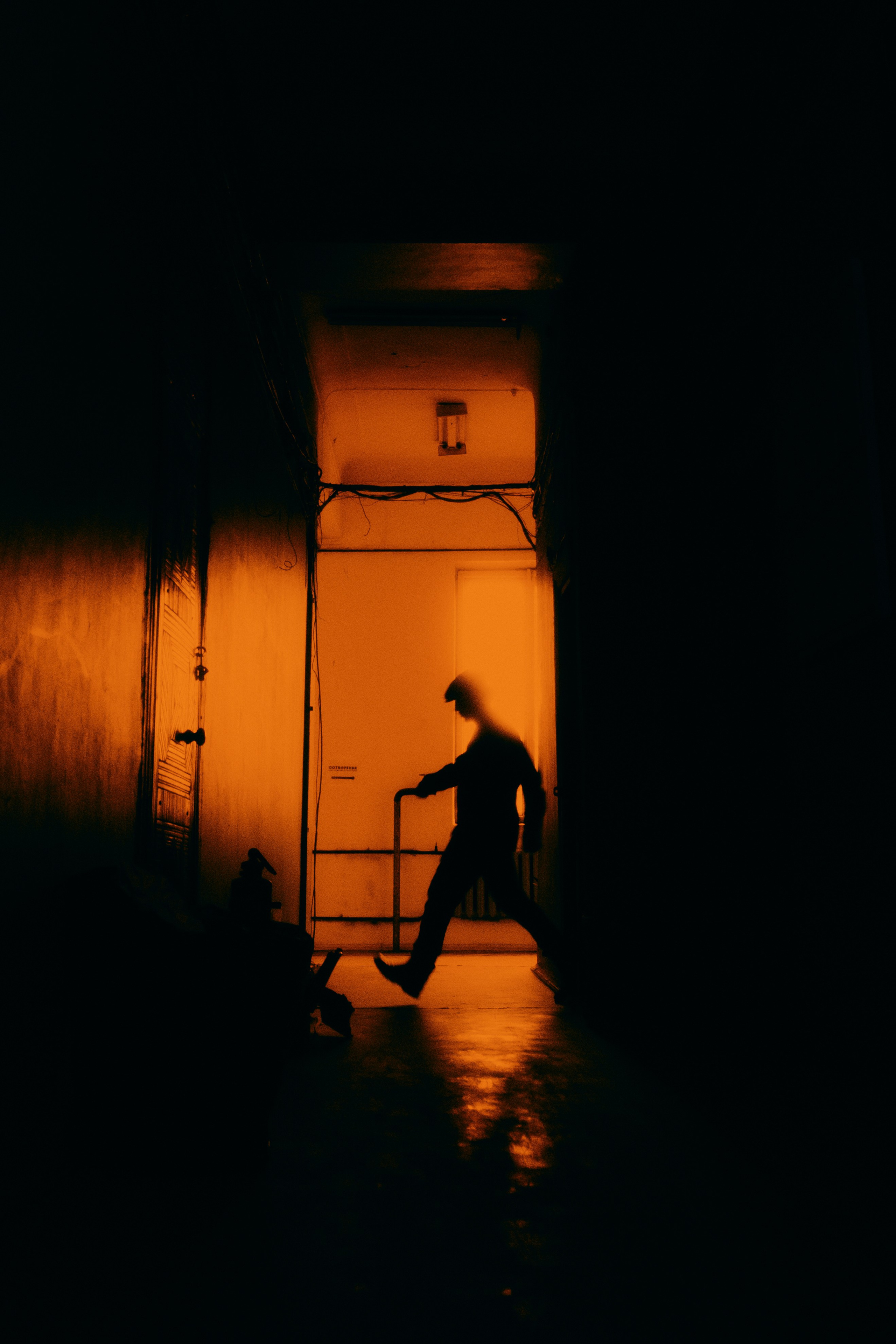 Роман. Дмитрий Пропадалин, Нейрофотография