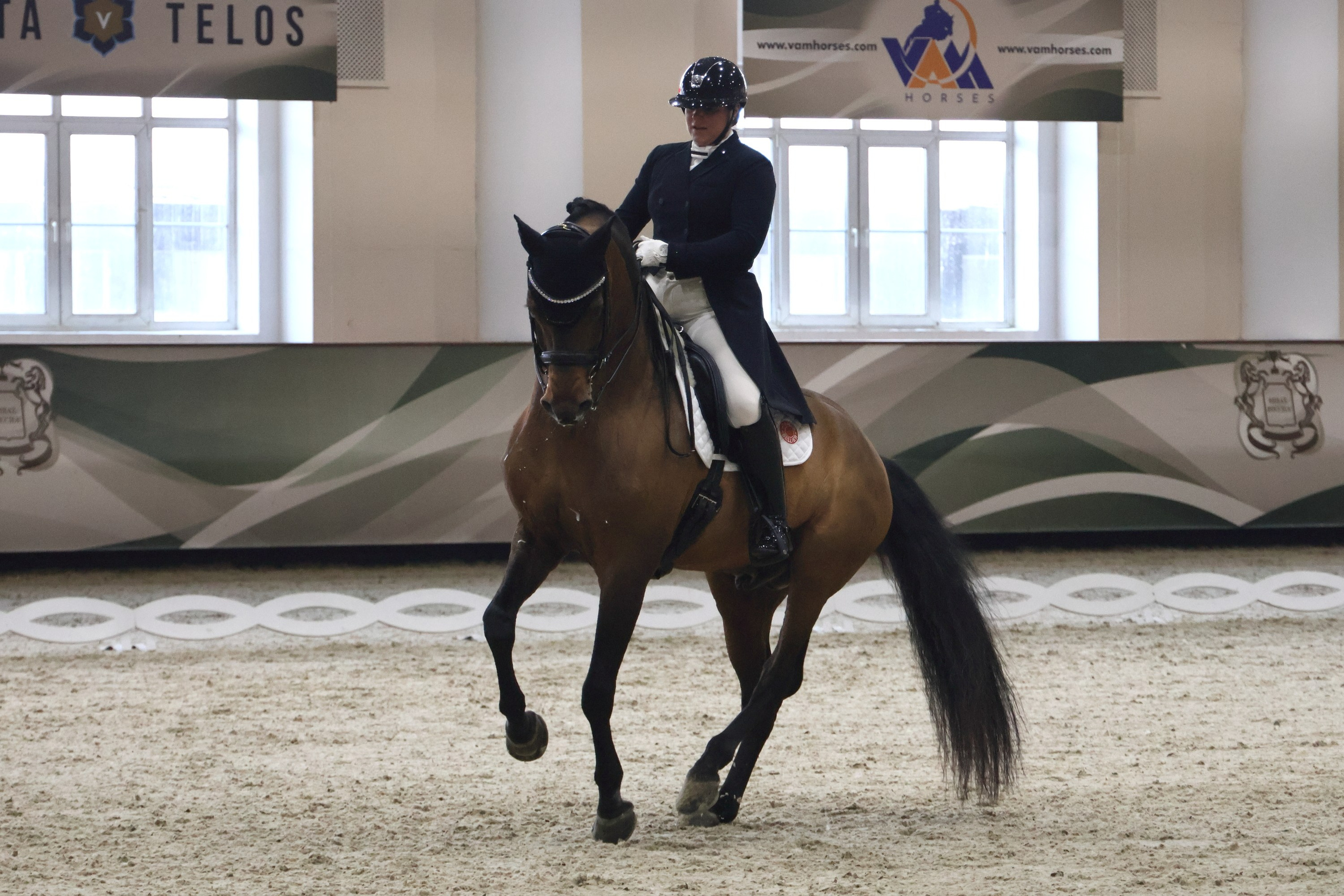 Соревнования по выездке КСК «Виват, Россия!». Спортивный и репортажный фотограф Ермакова Светлана