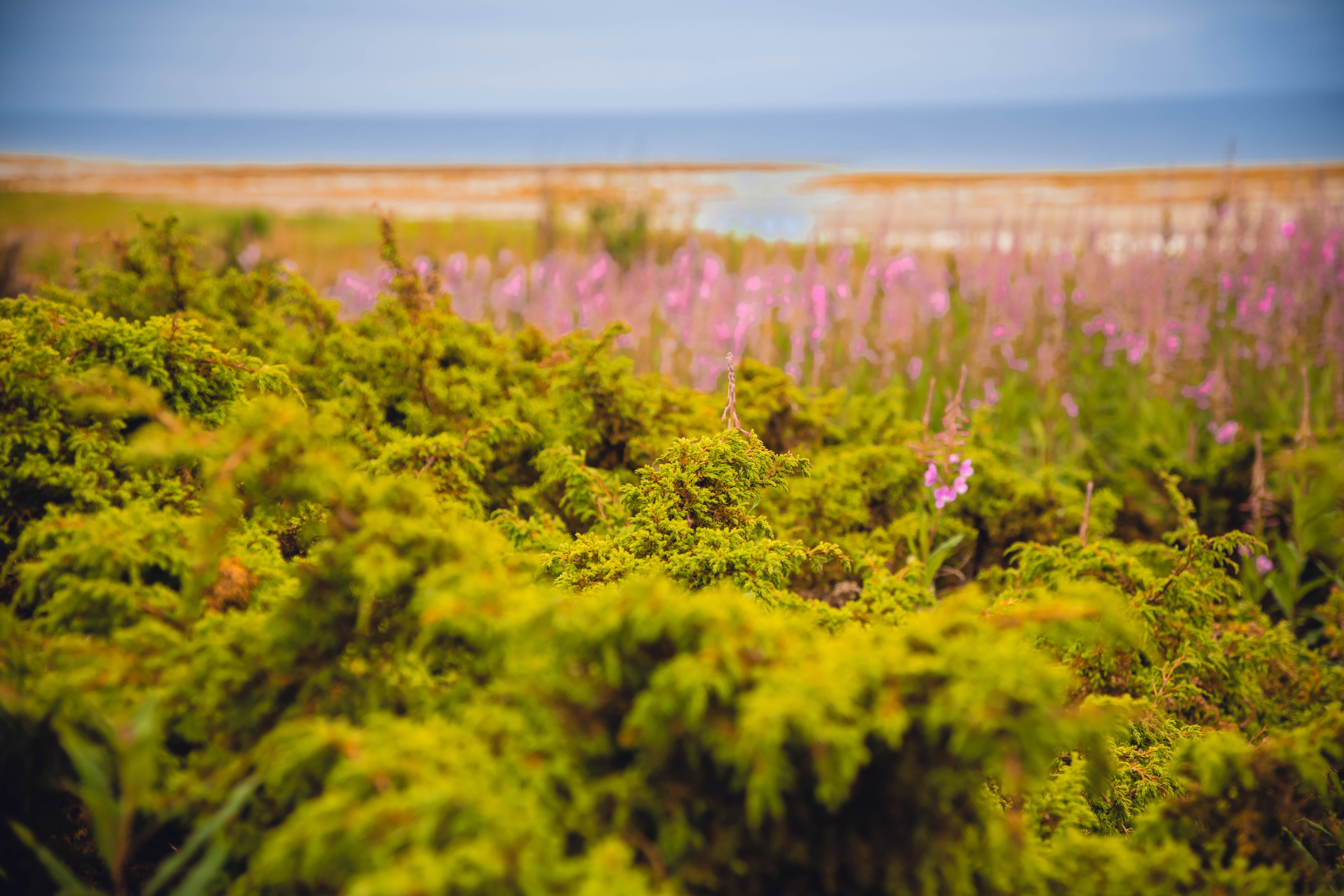 Кольский полуостров. Фотографирую для себя, своей семьи и друзей!