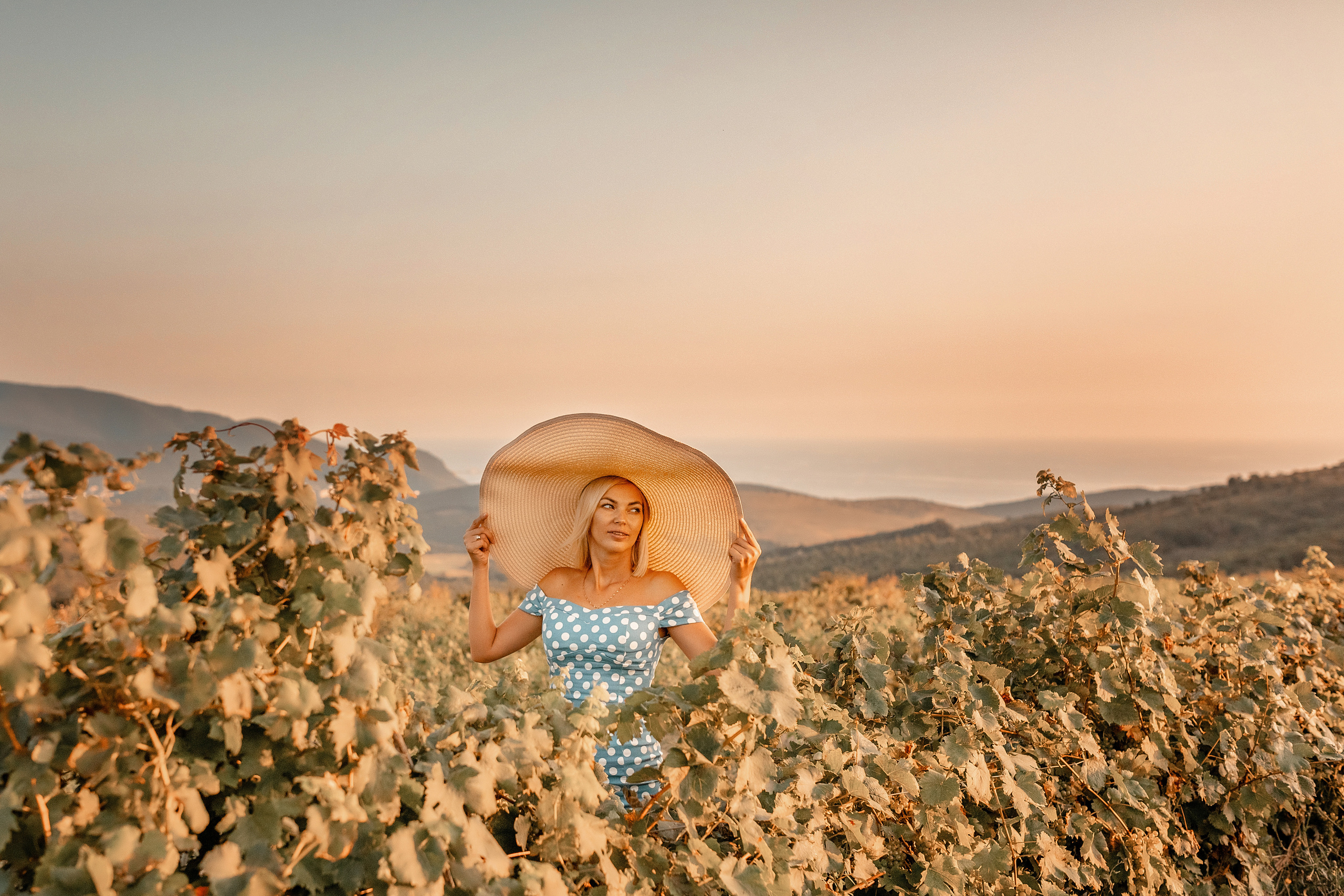 Виноградники. Художественный фотограф Анапа Александра Долбикова