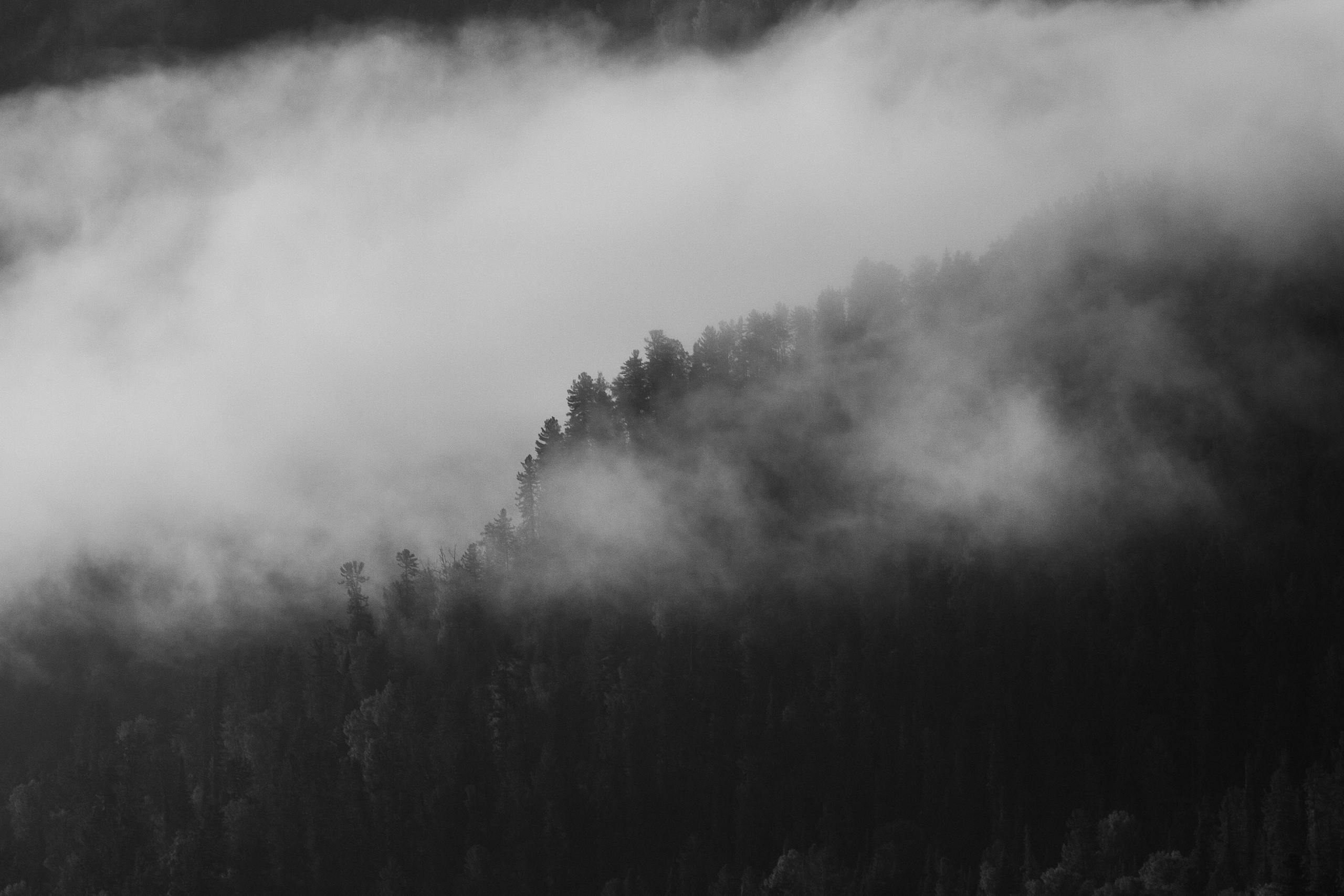 Природа. Профессиональный репортажный и студийный фотограф в Москве