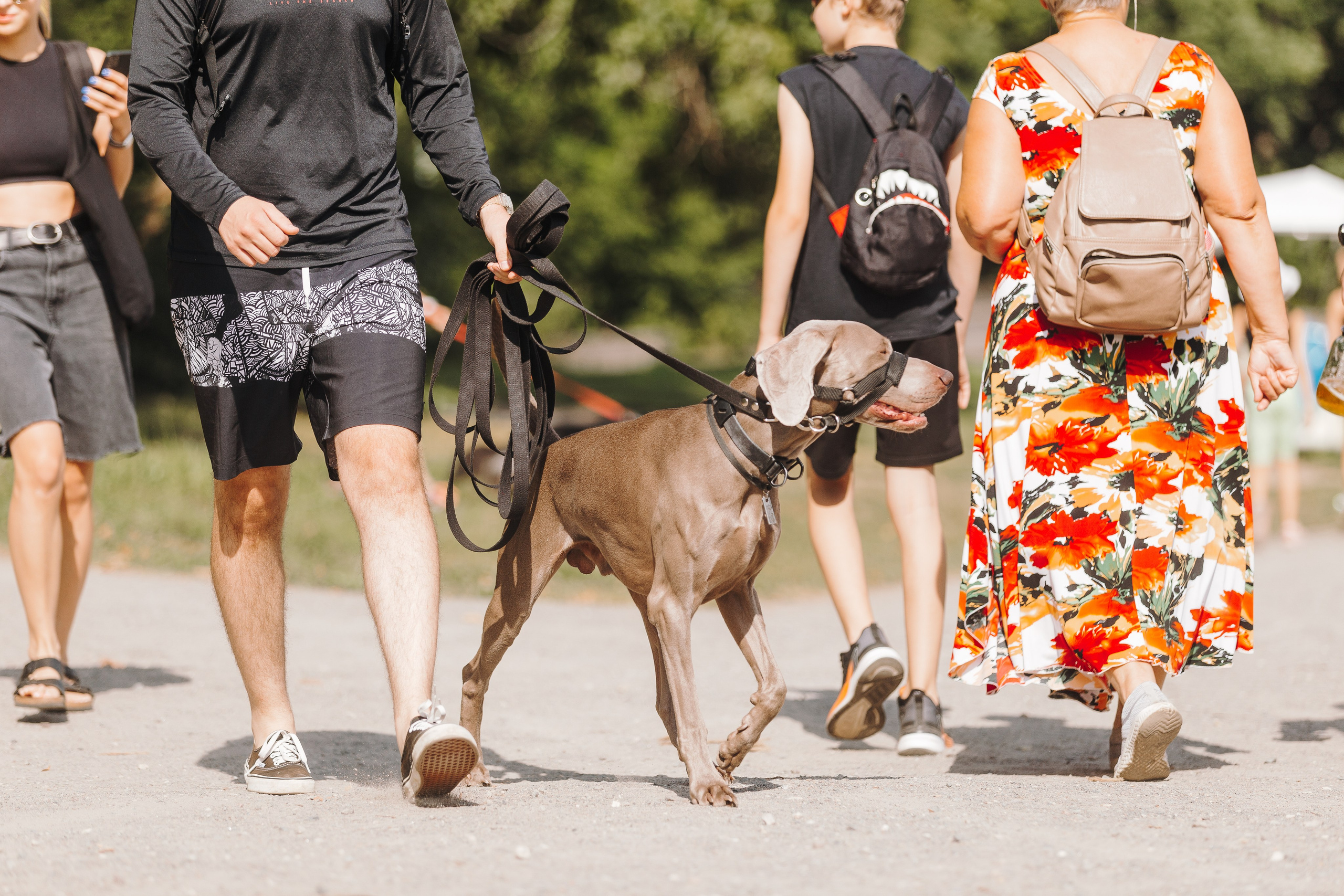 Petshop Sup day. Фотограф анималист Кристина Карпова, Москва