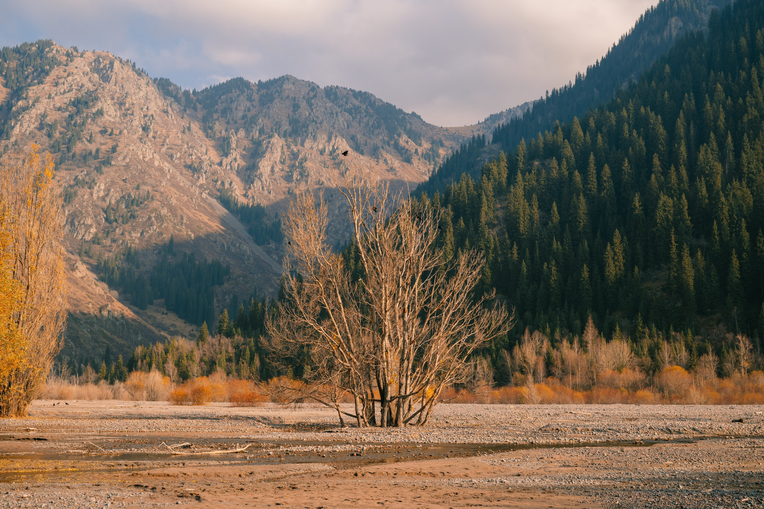 Озеро Иссык, осень 2025. Фотограф в Алматы — Алексей Коньков | Репортаж, свадьбы, портреты