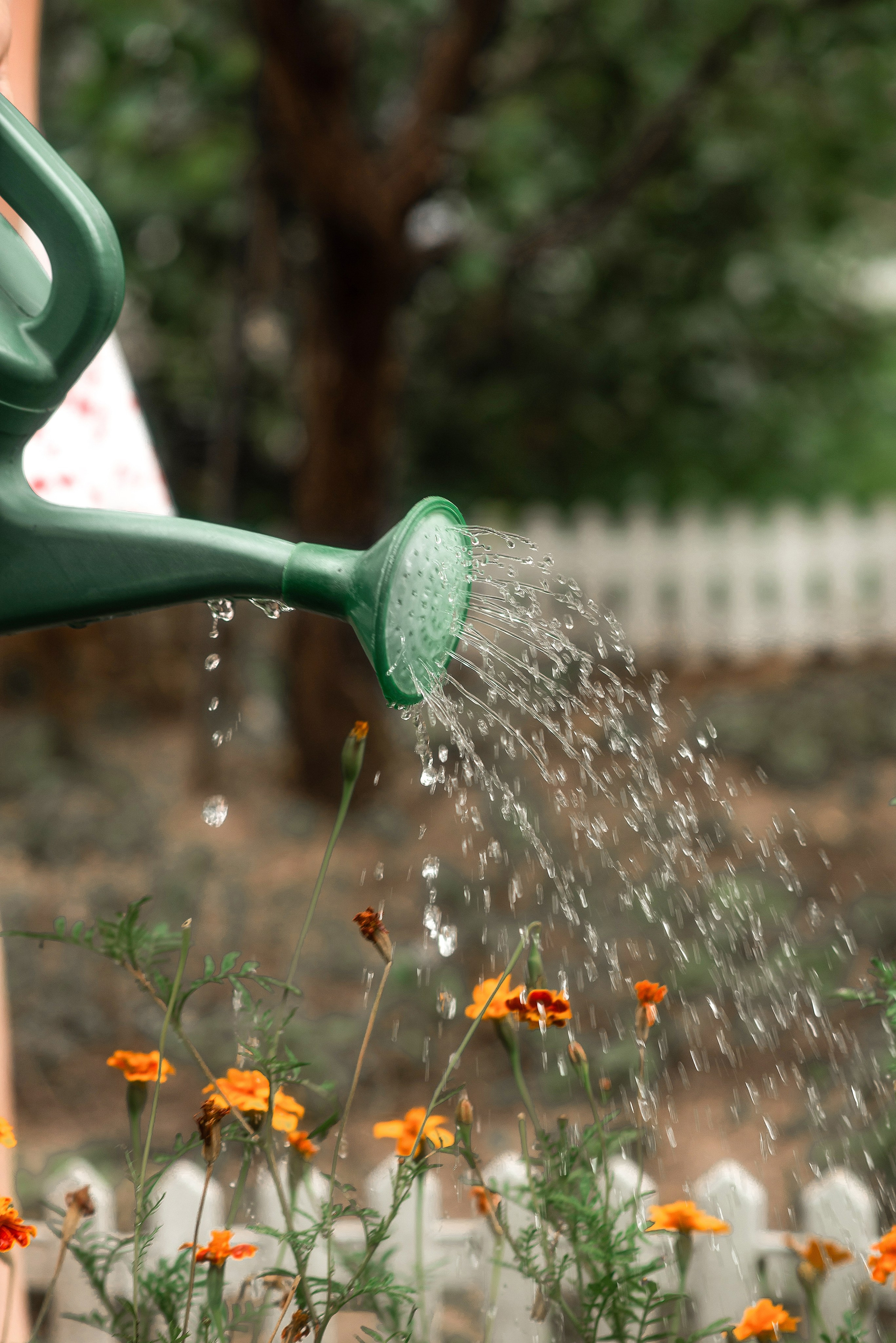 Наслаждайся такими моментами. Главная