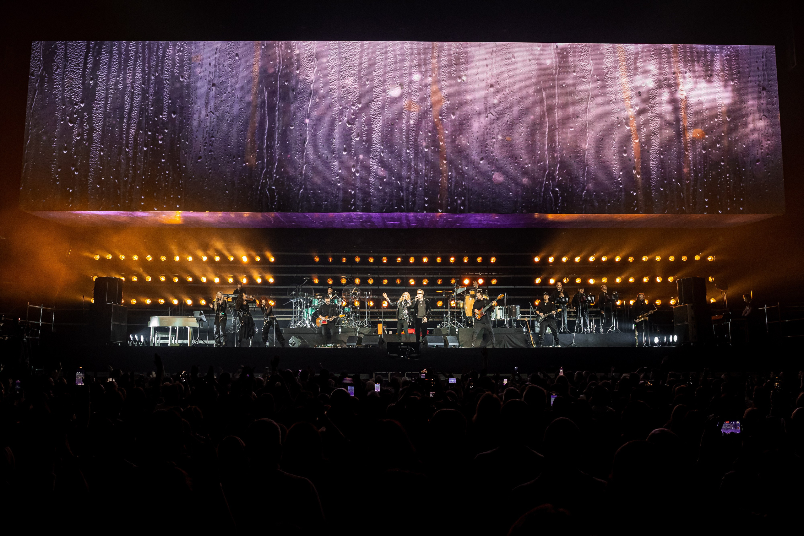 ВЛАДИМИР ПРЕСНЯКОВ / 2024. OOPS