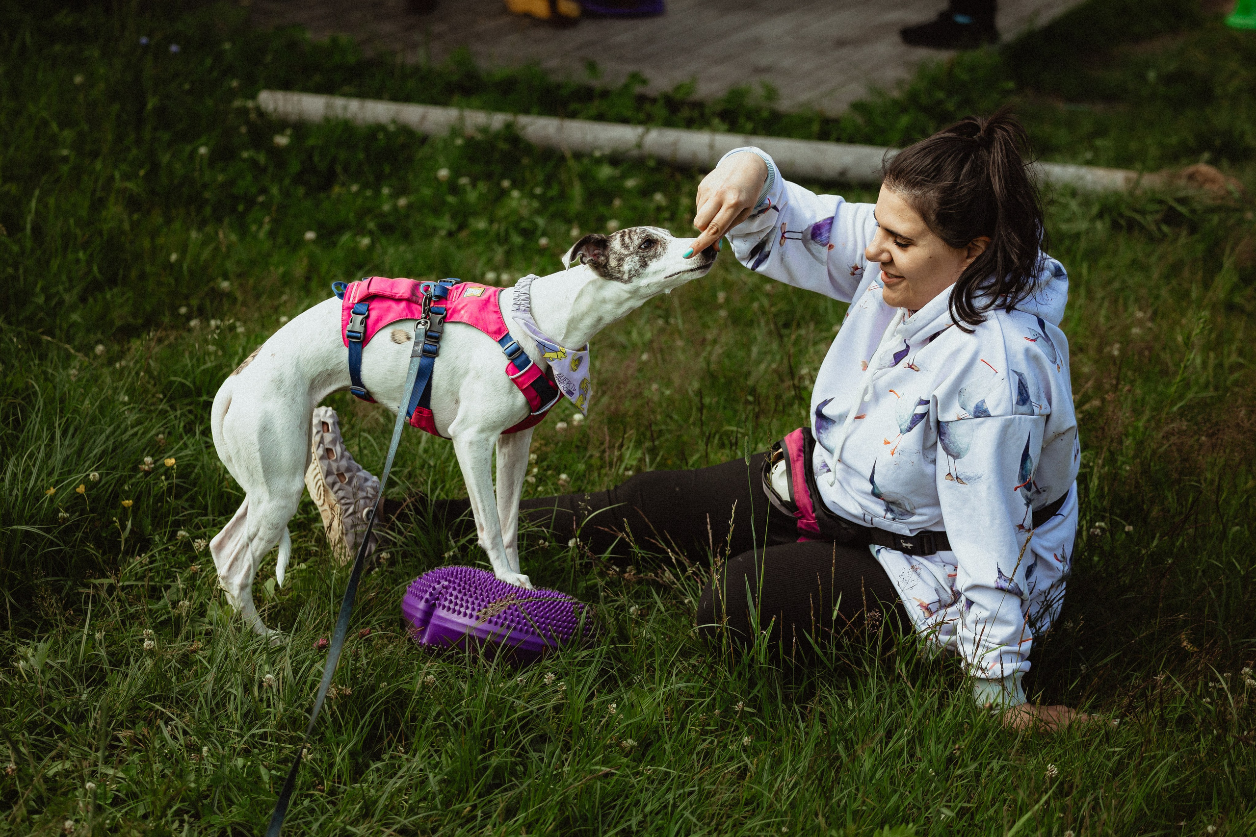Выездной дог-тренинг от школы «Шерсть имею»