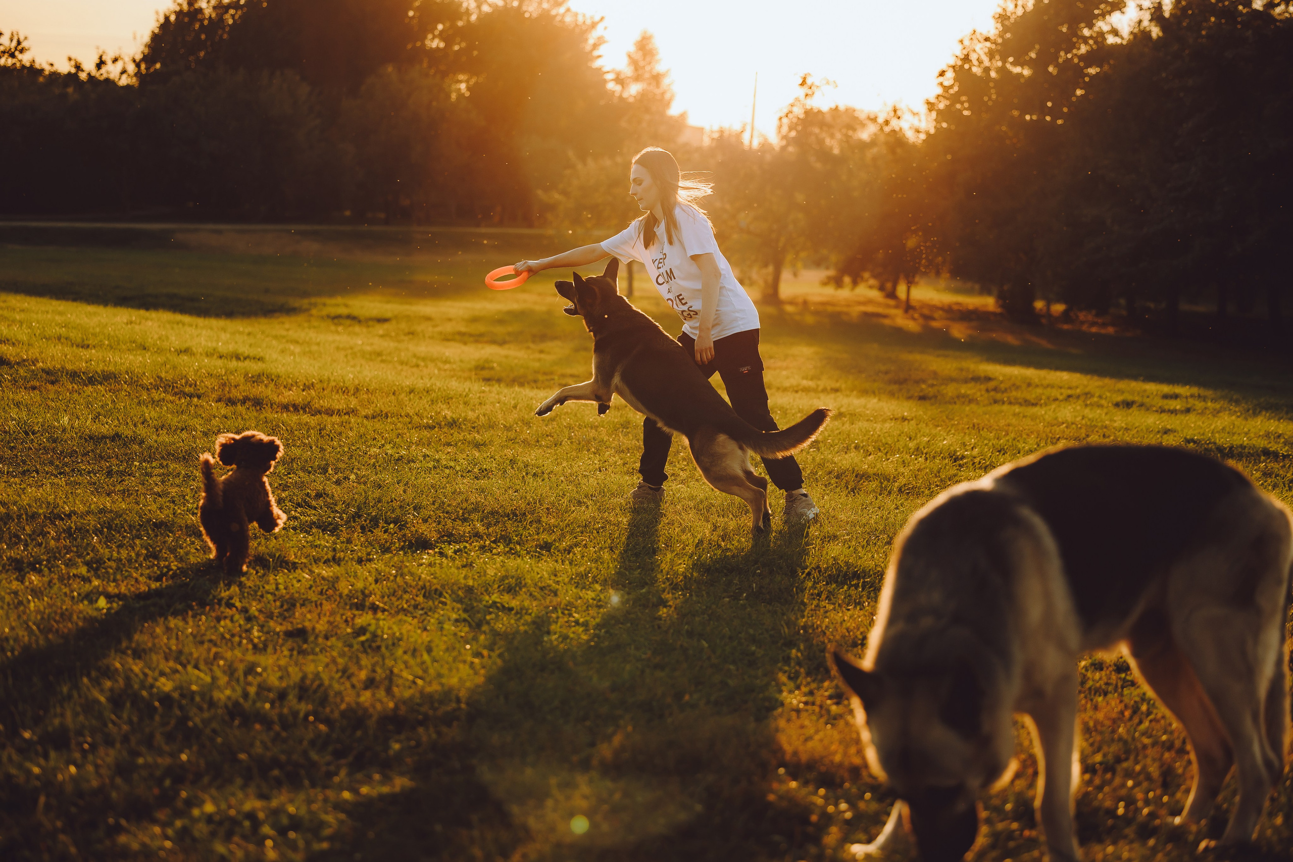 Кристина и все-все