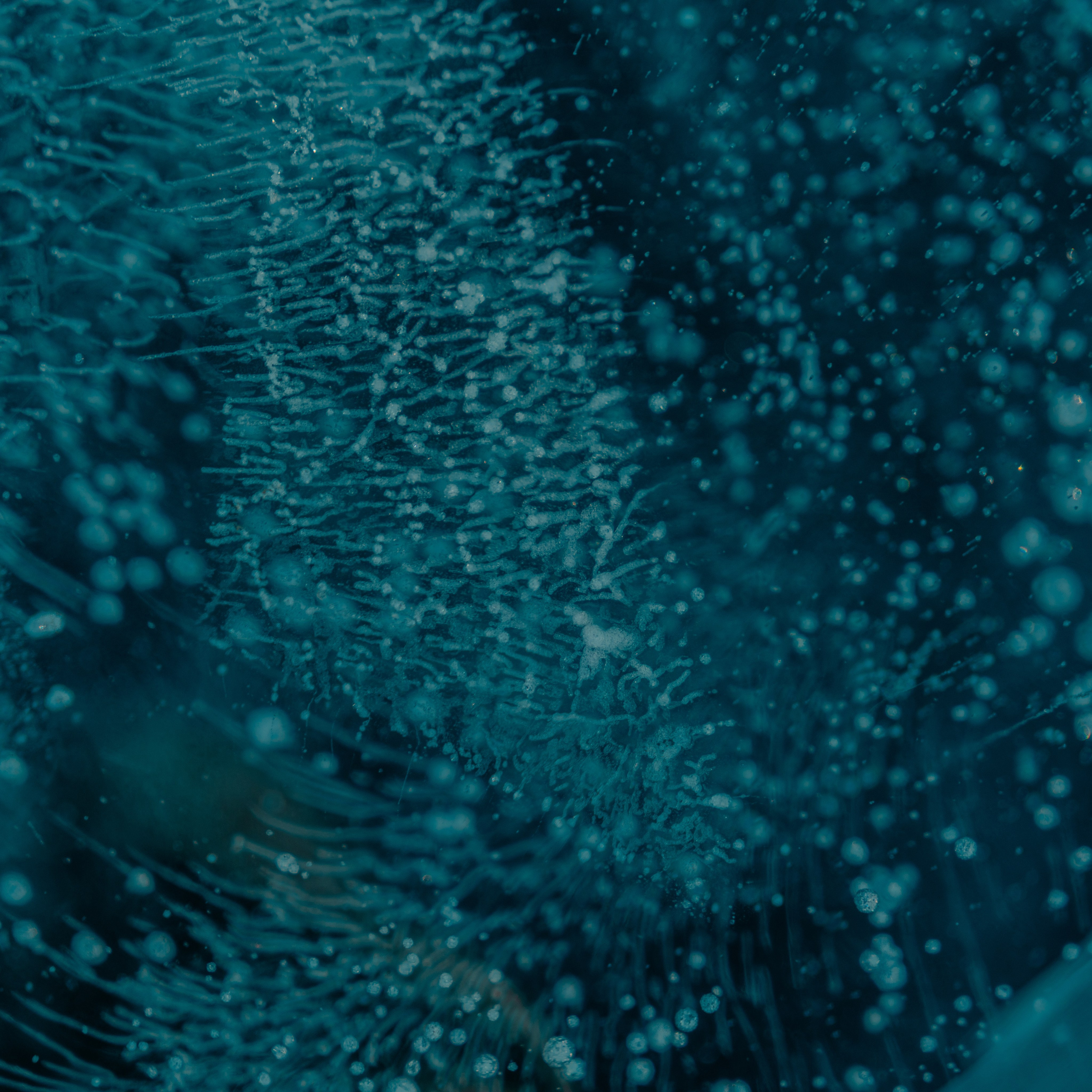 Иркутск и Байкал, Март 2024