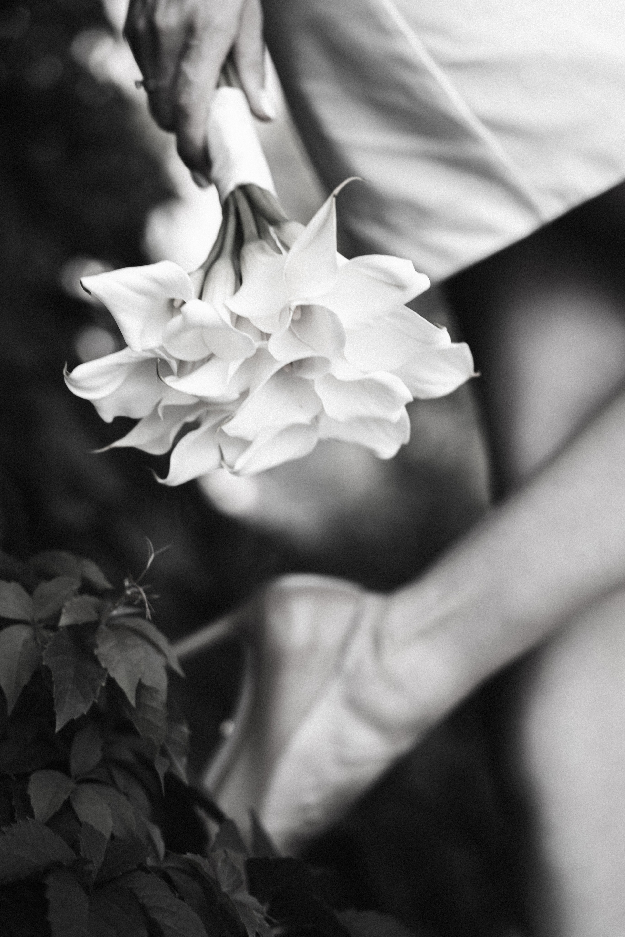 Т&Д. Фотограф Анна Кобазева, Москва