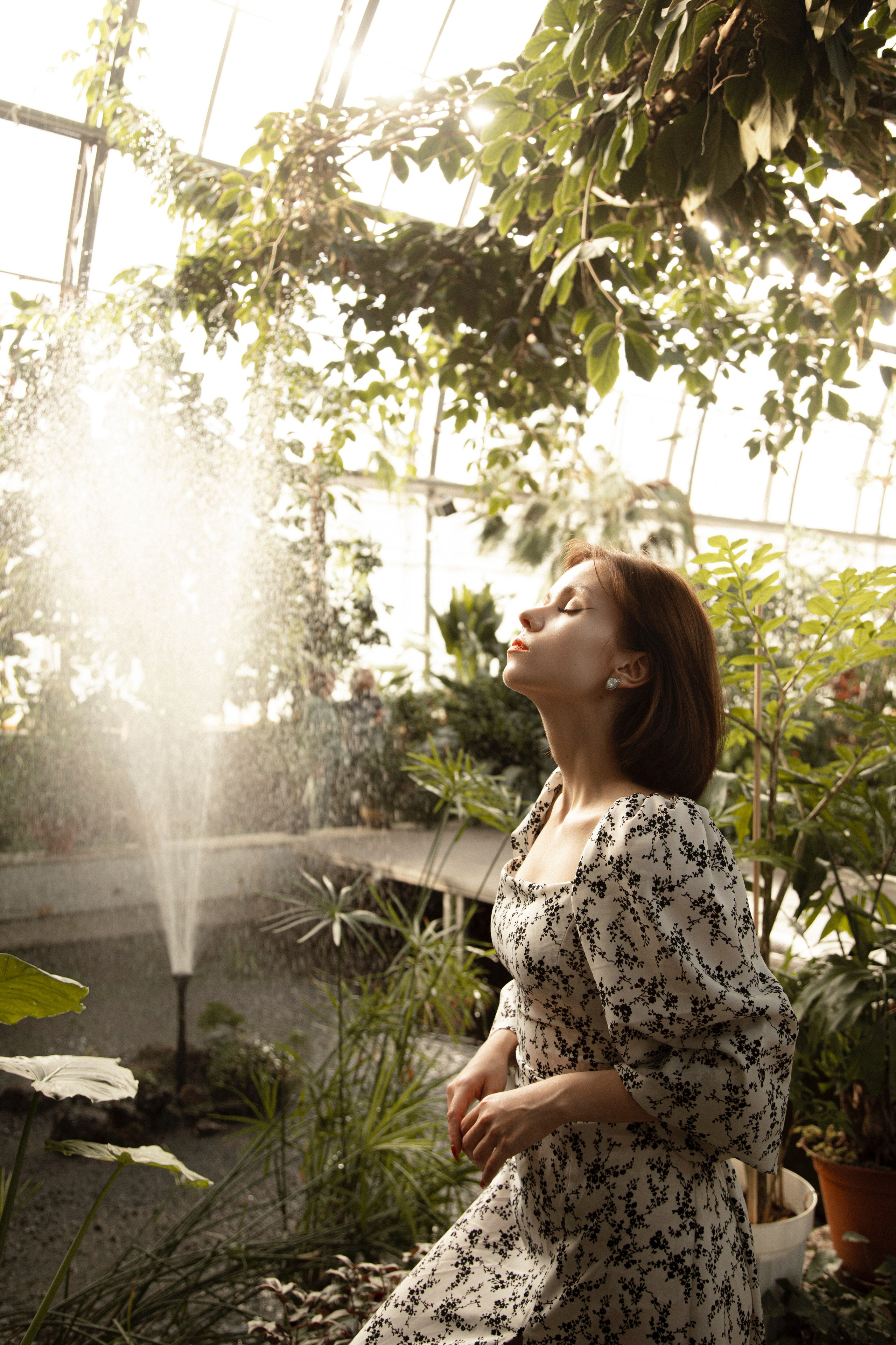 Оранжерея Таврического сада