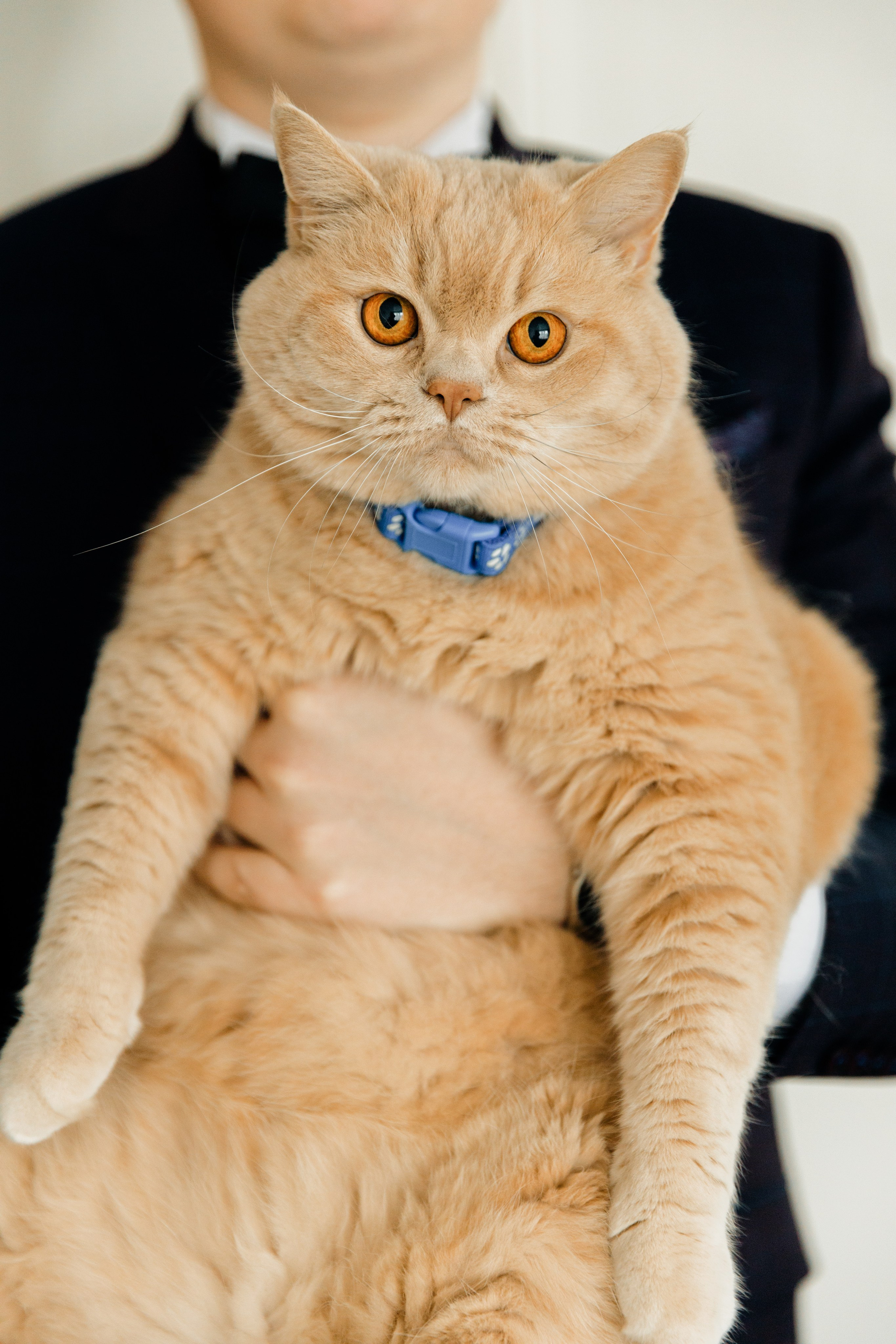 Роман и Евгения. Видеограф Павел Борисов | Москва | СПБ | Брянск