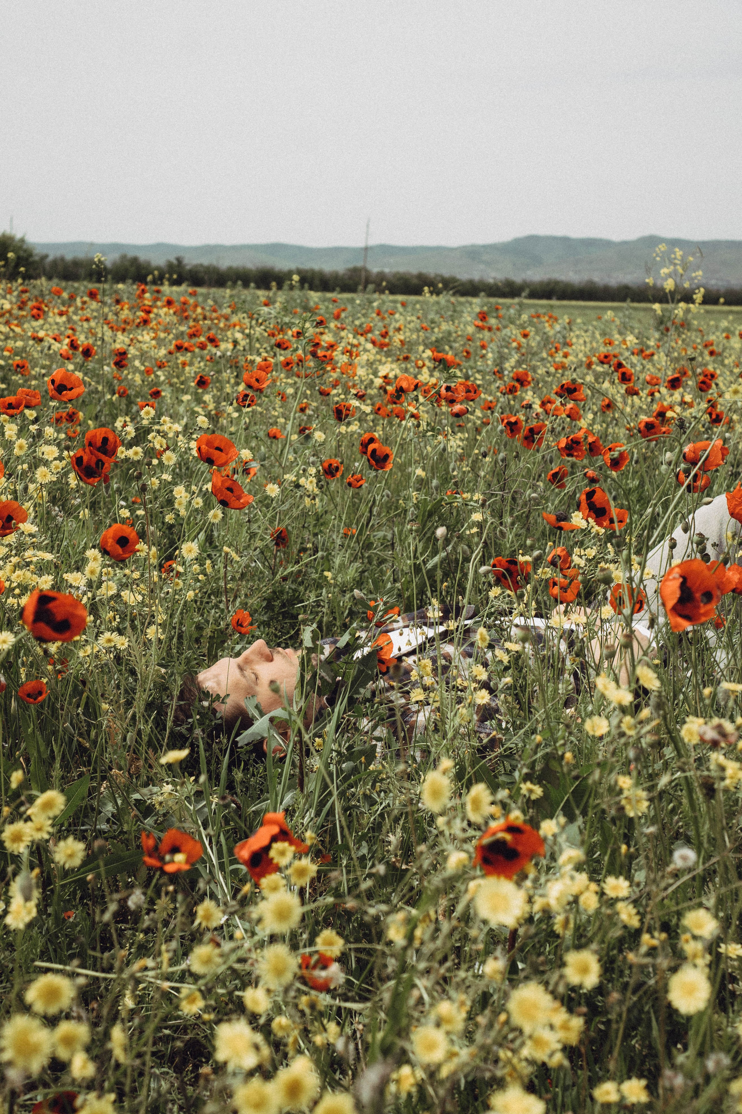 Маки. Профессиональный фотограф, Санкт-Петербург — Виктория Богомолова