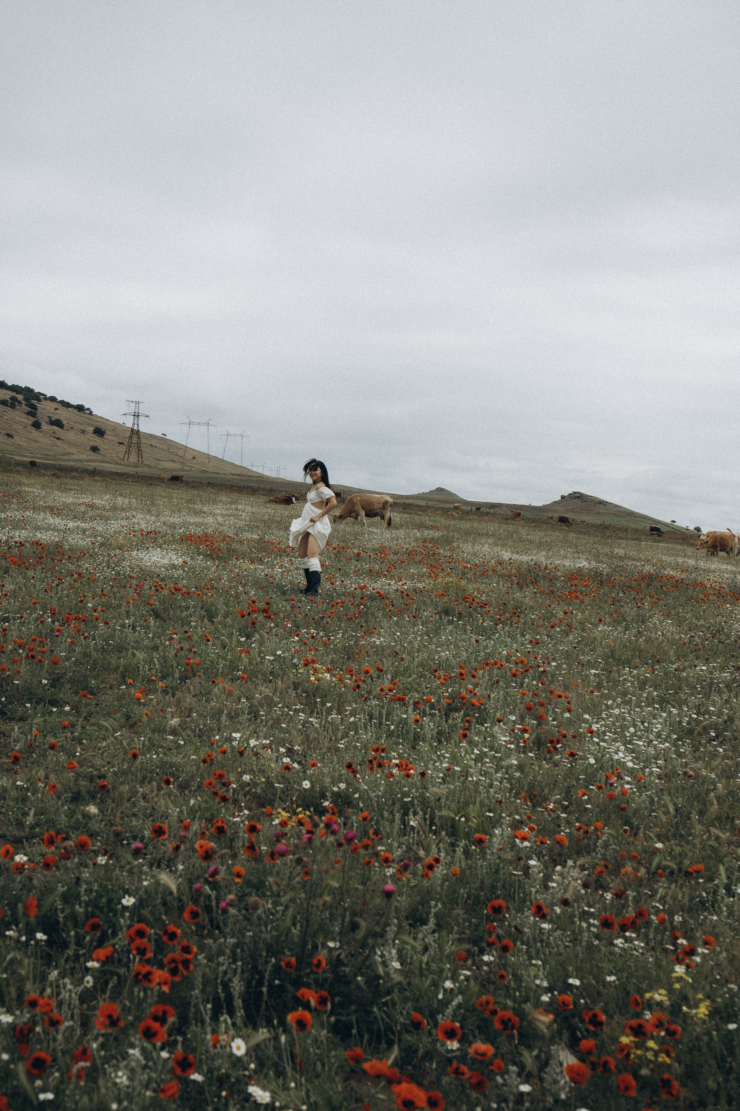 Маковое поле. Профессиональный фотограф, Санкт-Петербург — Виктория Богомолова