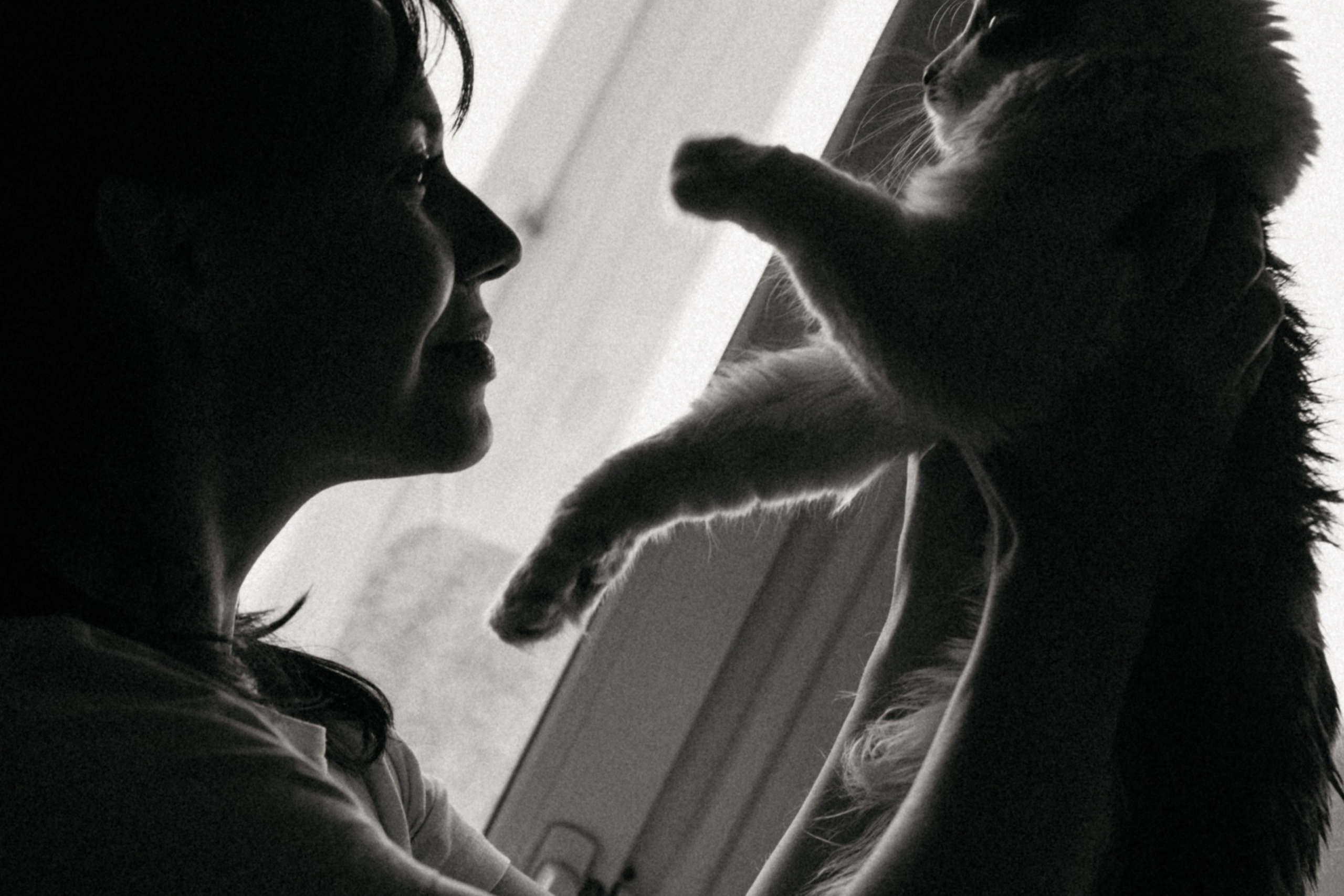 Оля и её меховая банда. Фотограф анималист в Москве Ольга Агушева