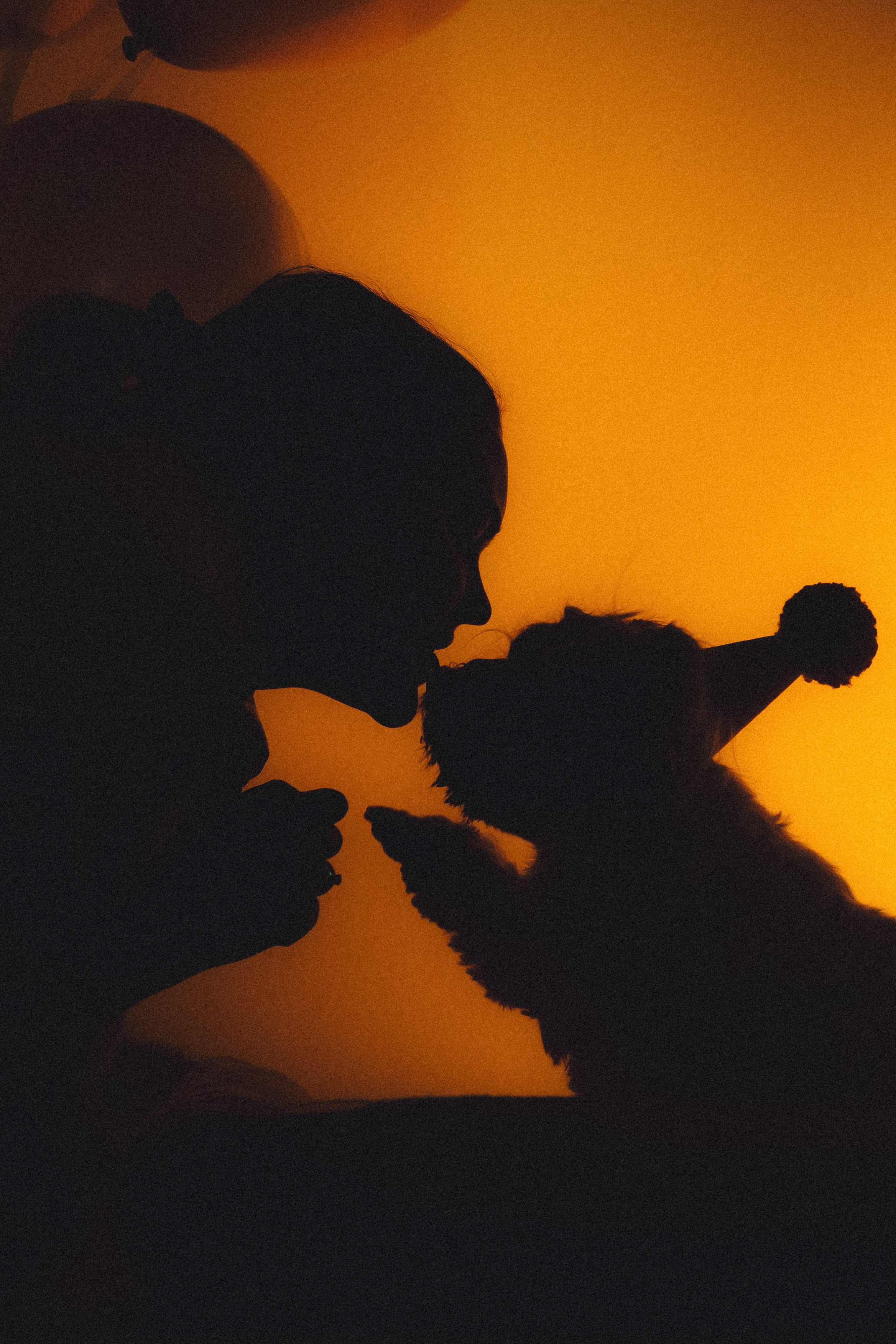 День Рождения Шу