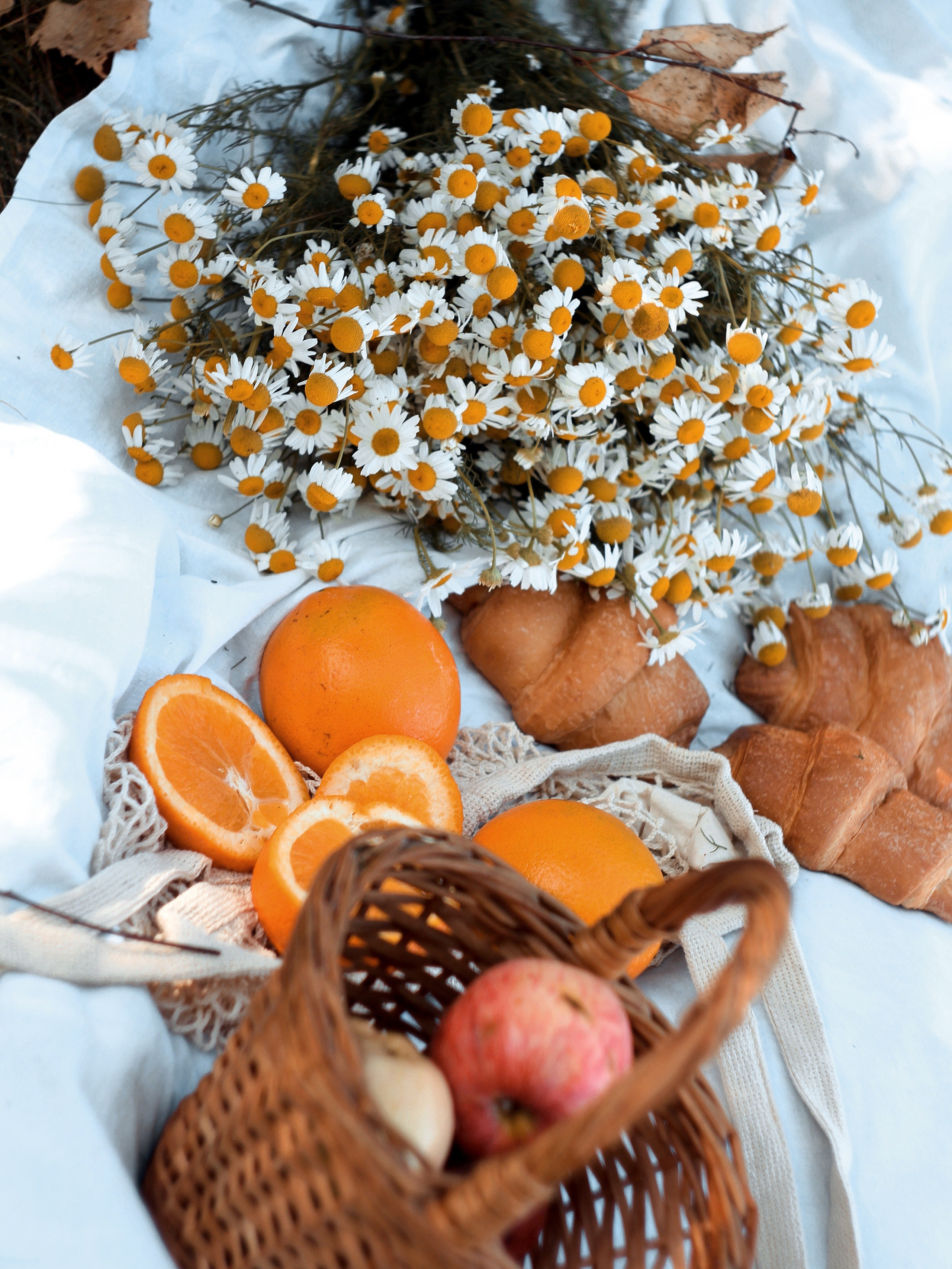 Семейная. Photography Eva