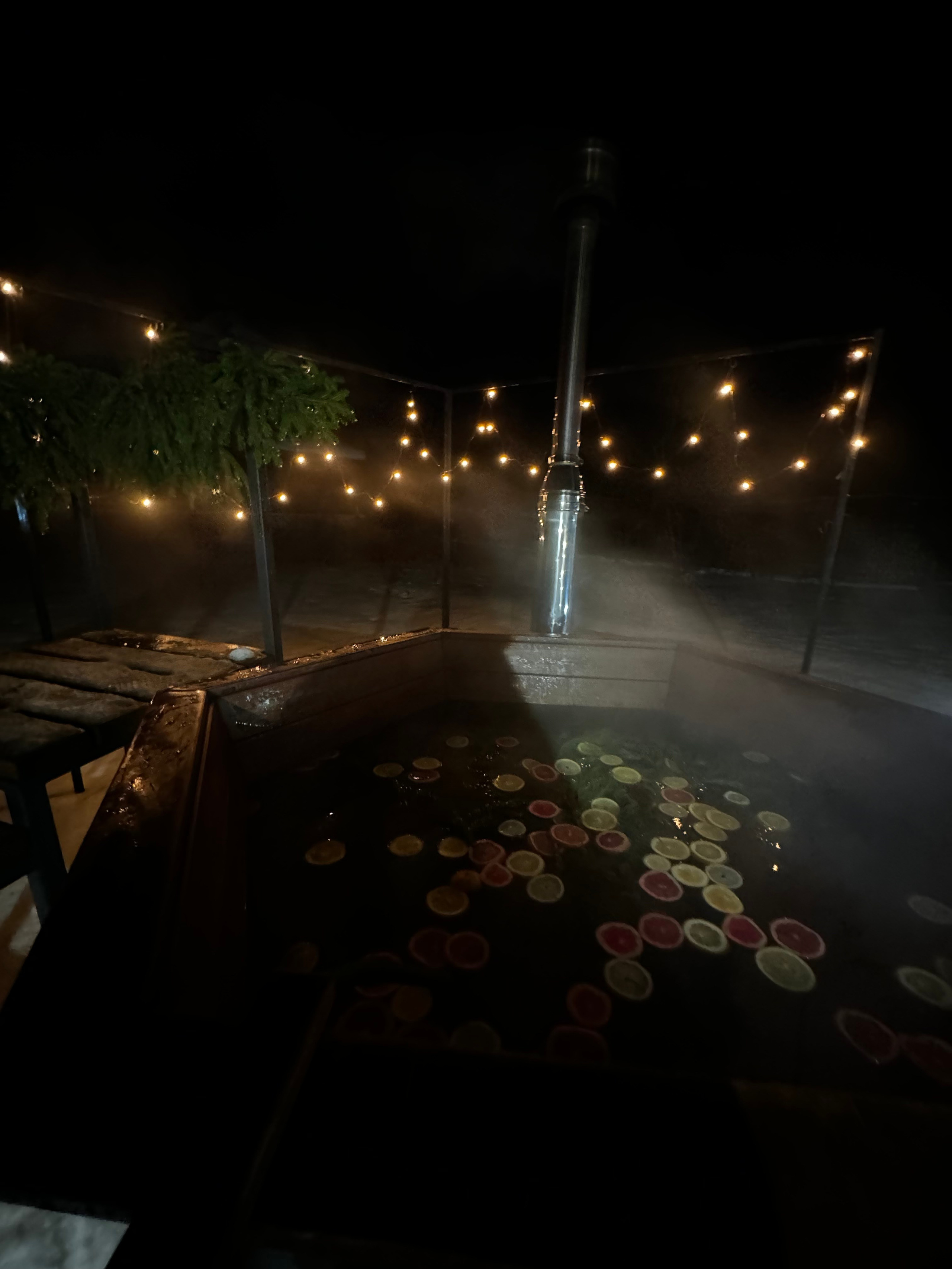 Чан. Организатор загородного отдыха в Переславле Валерия