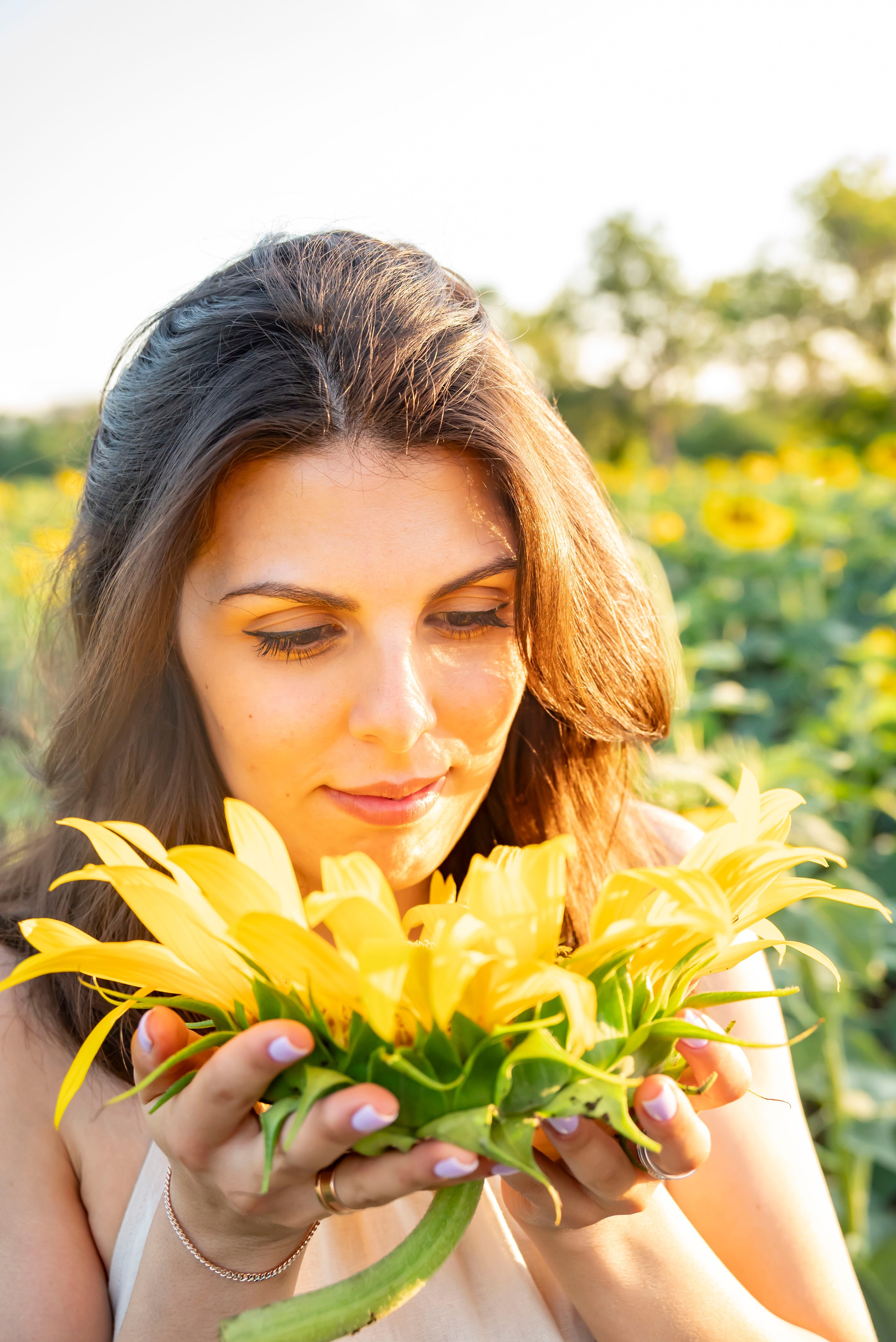 Летняя прогулка. Главная