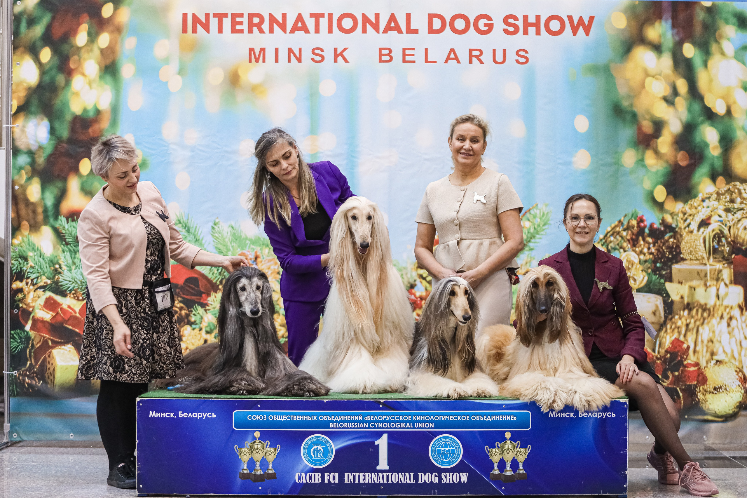 Международная выставка собак СACIB FCI 29-30.11.2025. Галерея фотографий афганской борзой